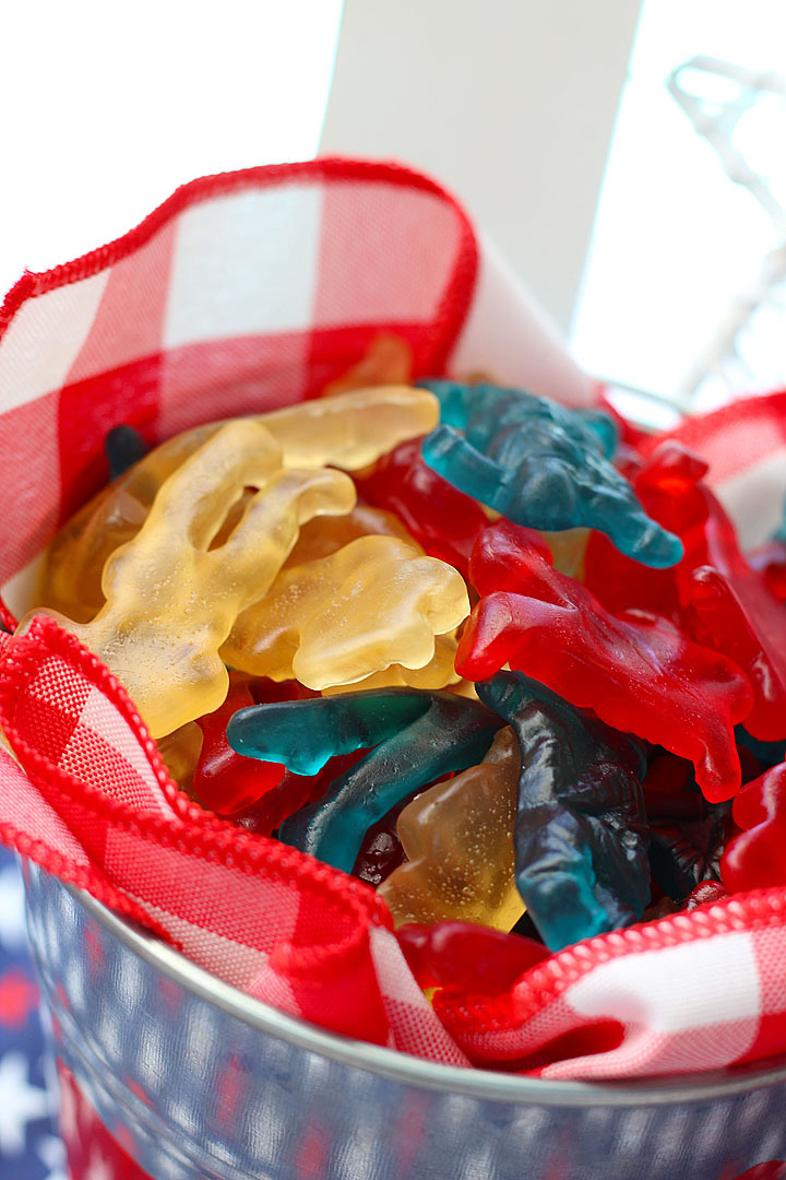 Patriotic Soldier Gummies
