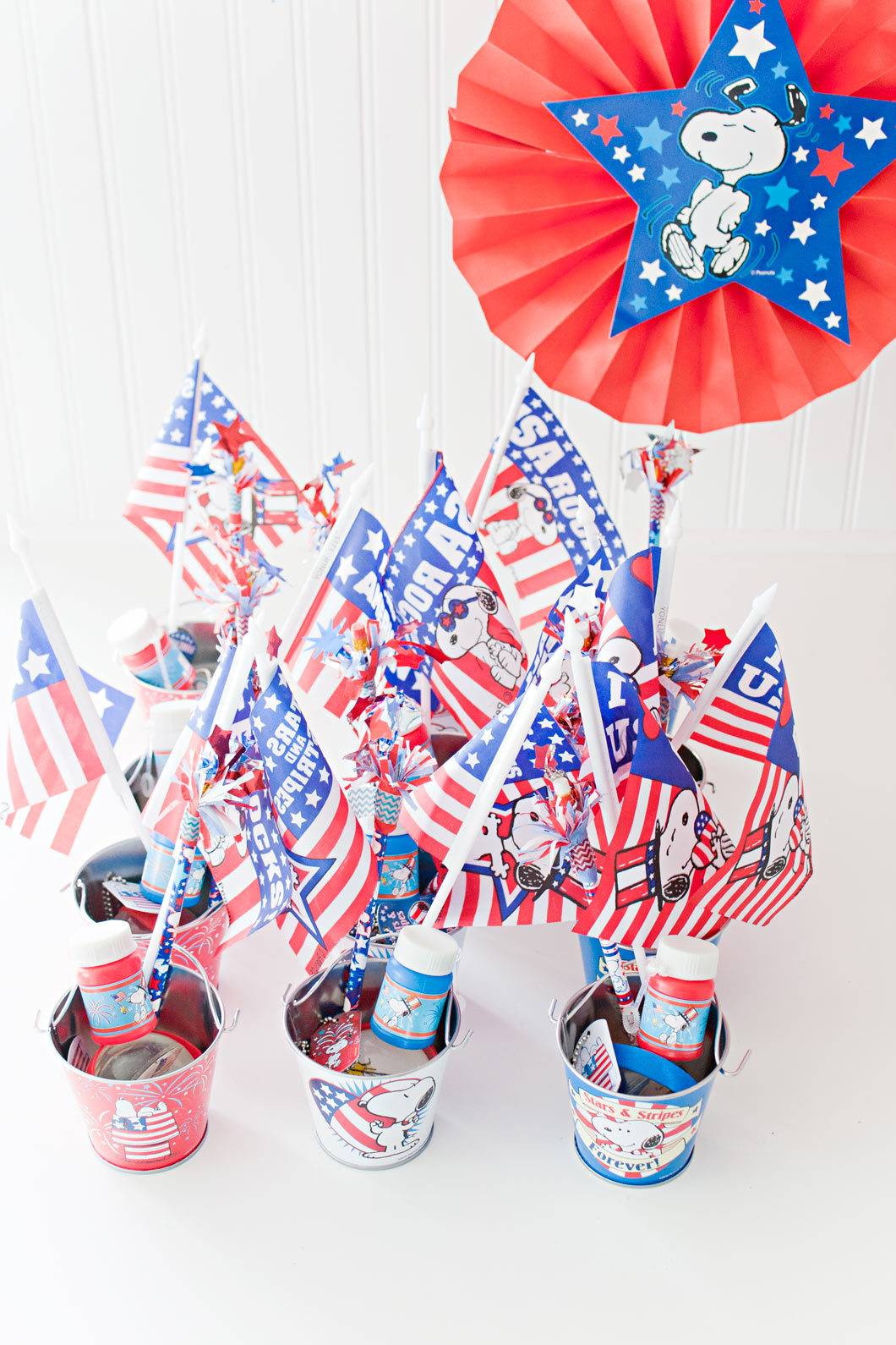 Peanuts Patriotic Party