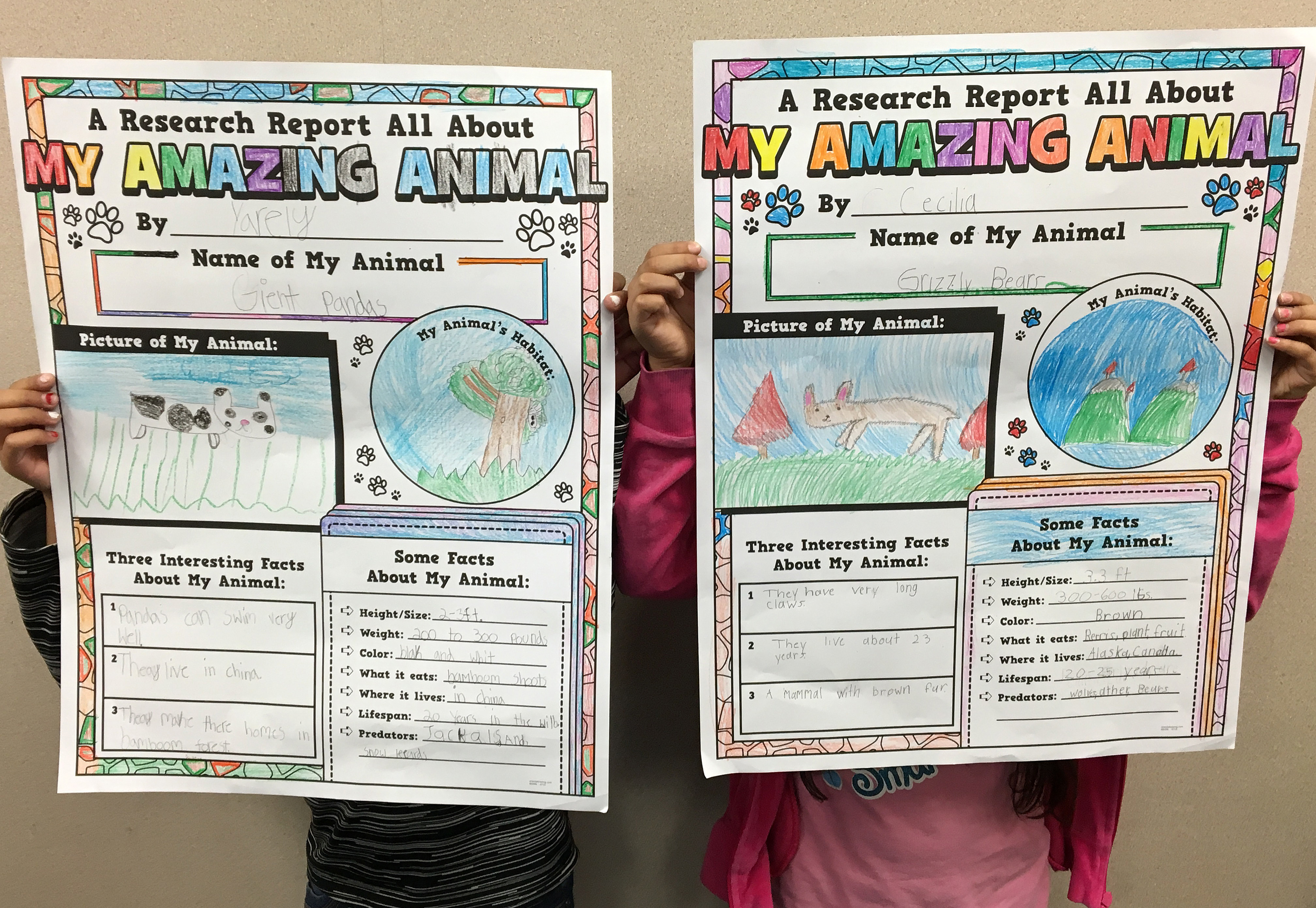 Color Your Own Animal Posters with Journals
