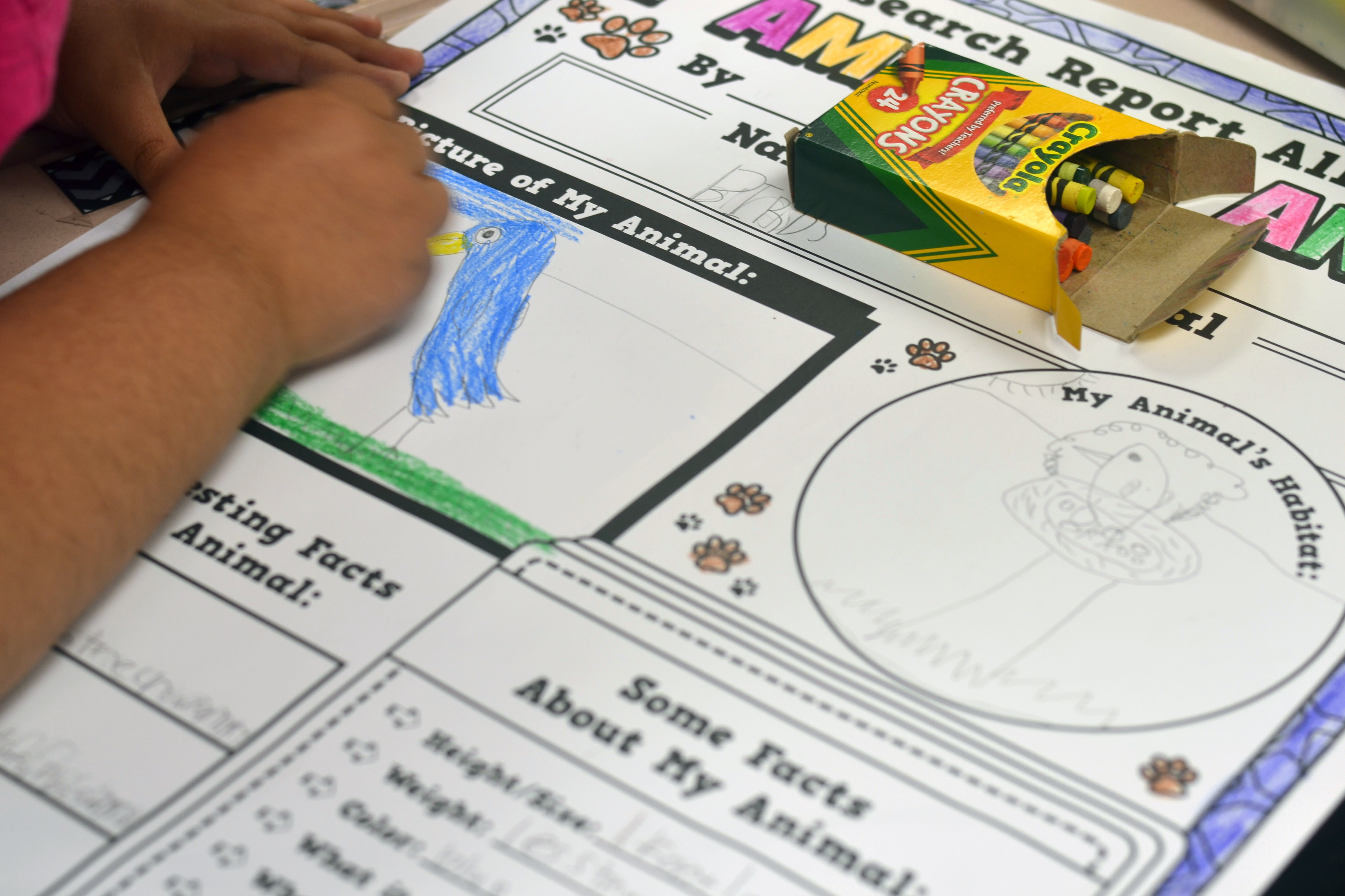 Color Your Own Animal Posters with Journals