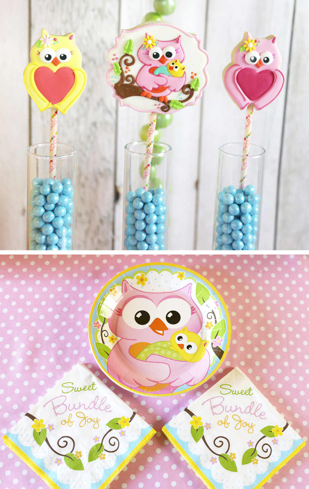 Cute Owl Baby Shower Ideas | Fun365