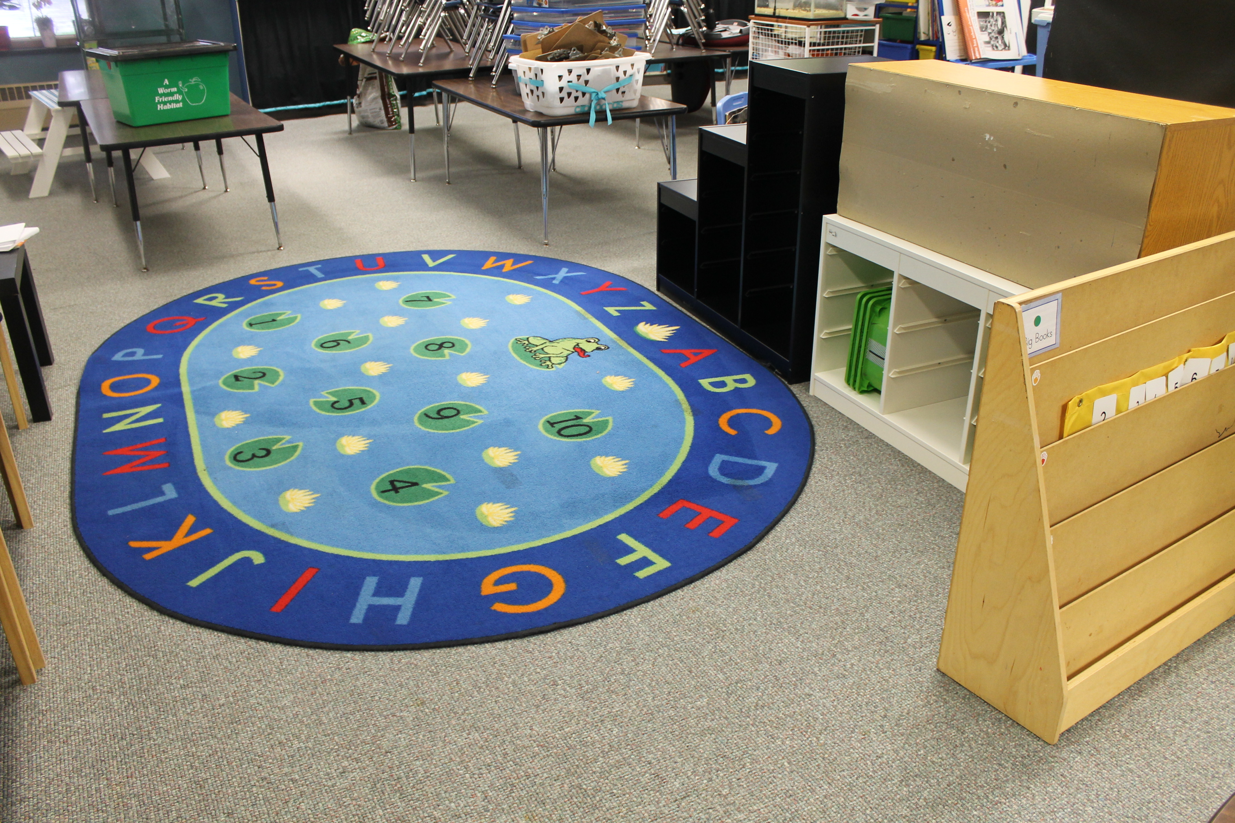 Classroom Library Makeover (Before Image)