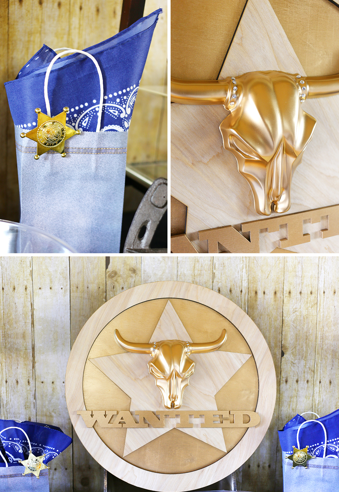 Western Party Decorations