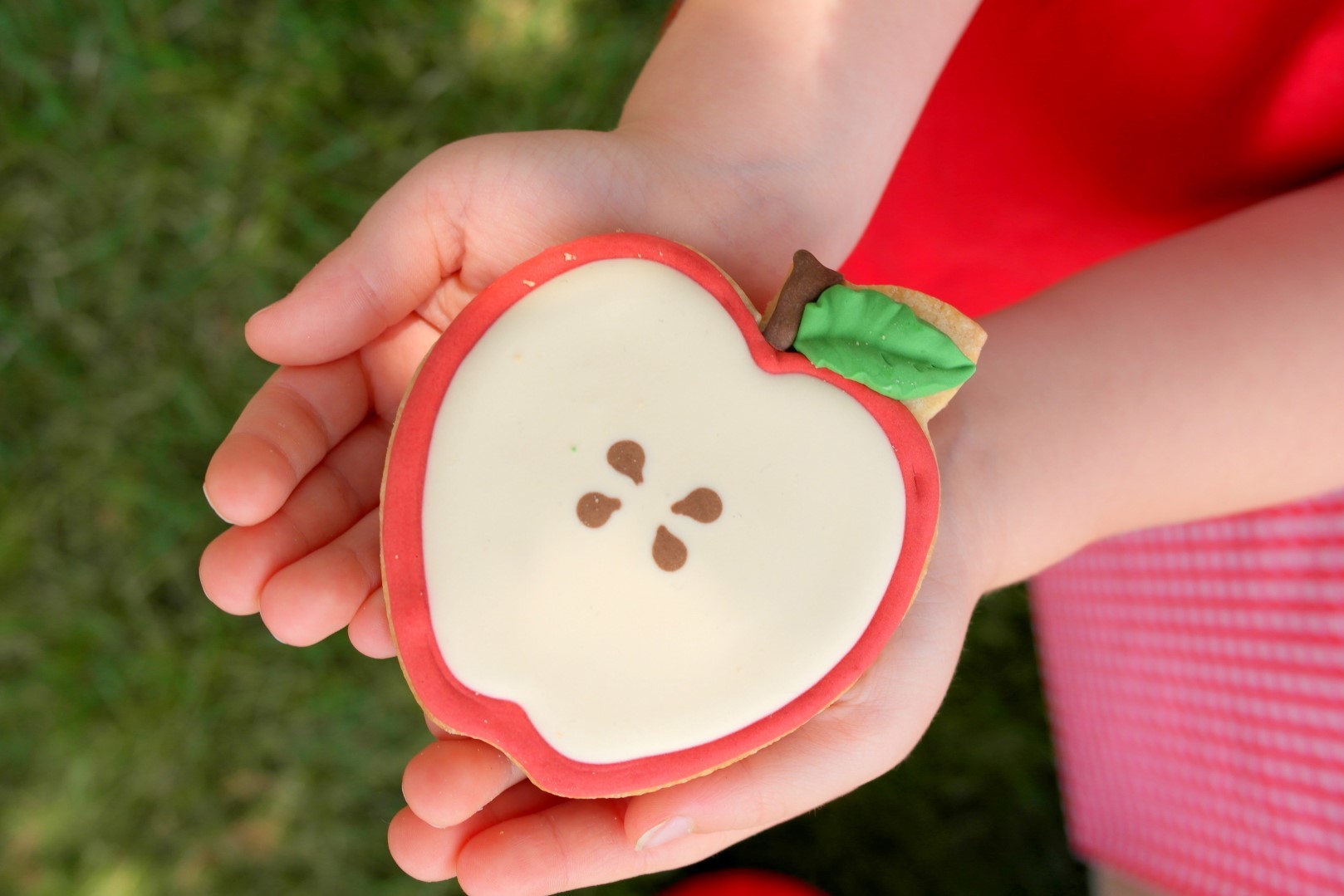 Apple Picking Fall Play Date