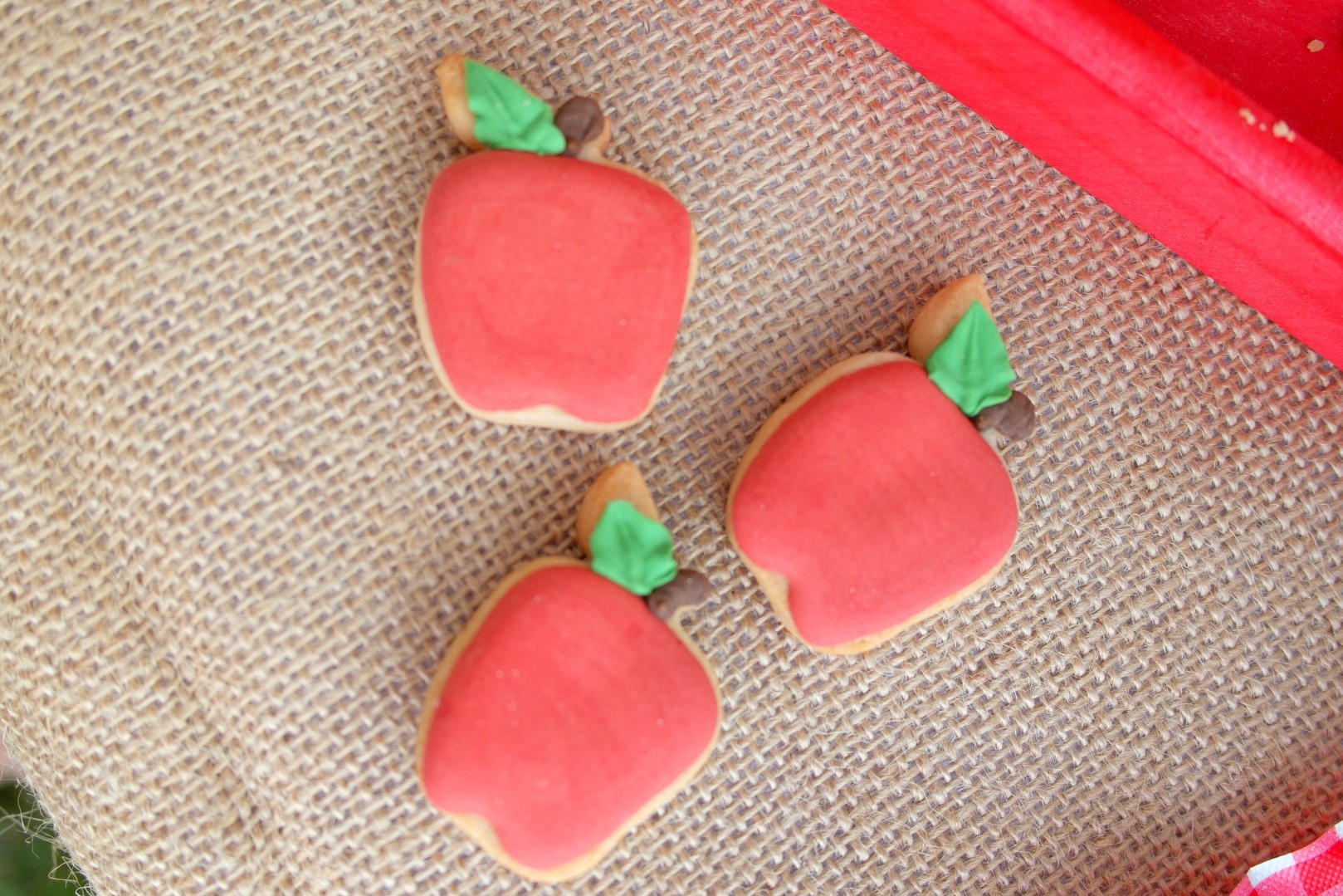 Apple Picking Fall Play Date