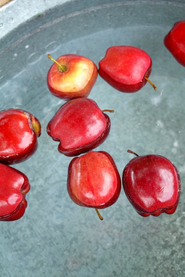 Apple Picking Fall Play Date