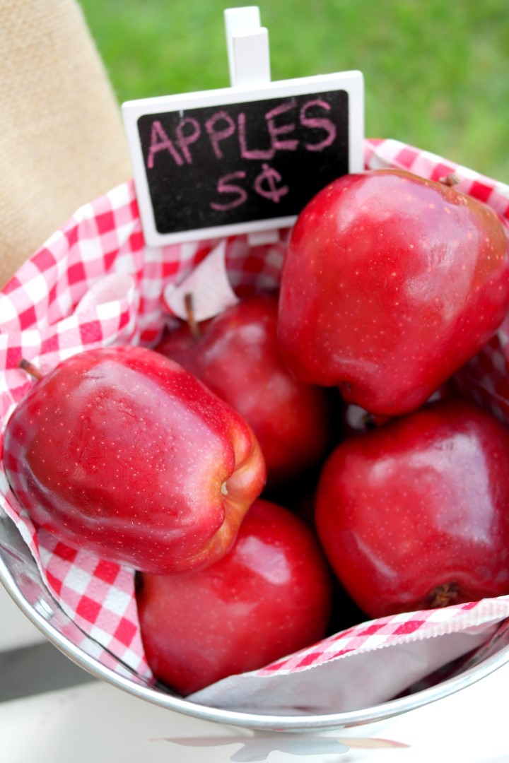 Apple Picking Fall Play Date