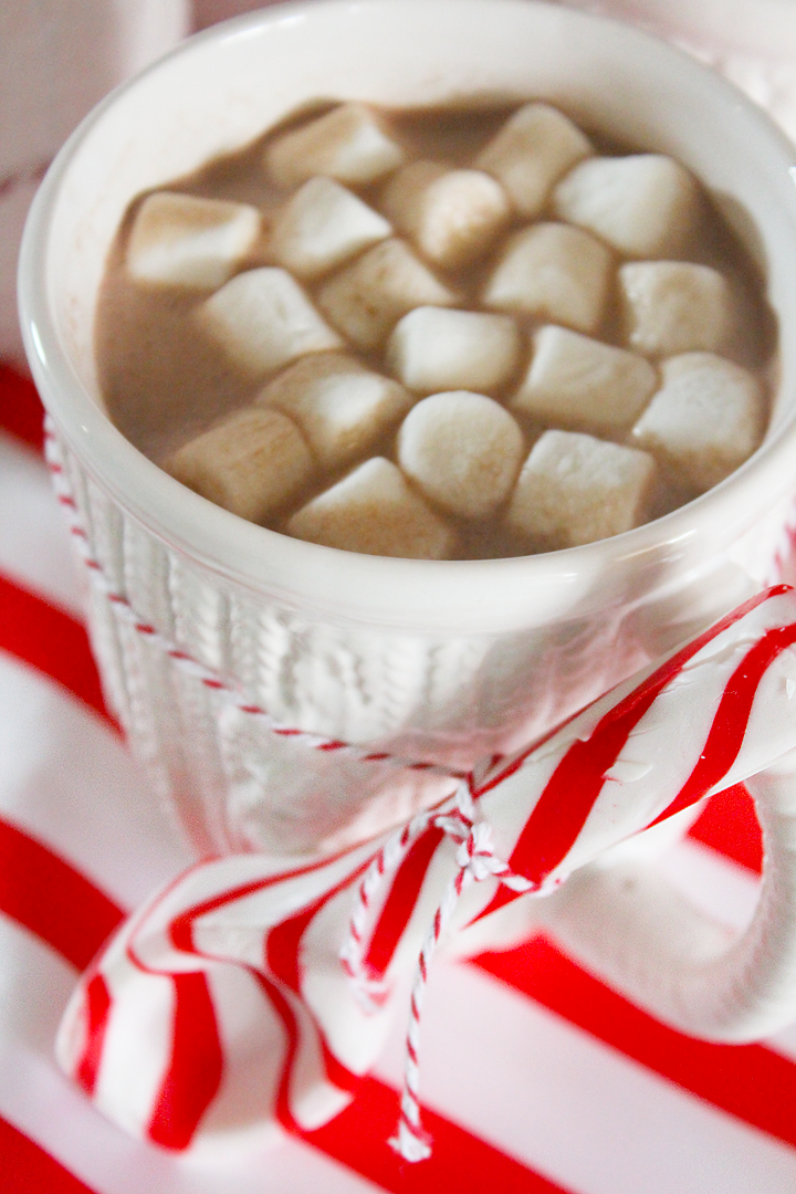 Hot Chocolate Bar & Holiday Cookie Party — Kevin & Amanda