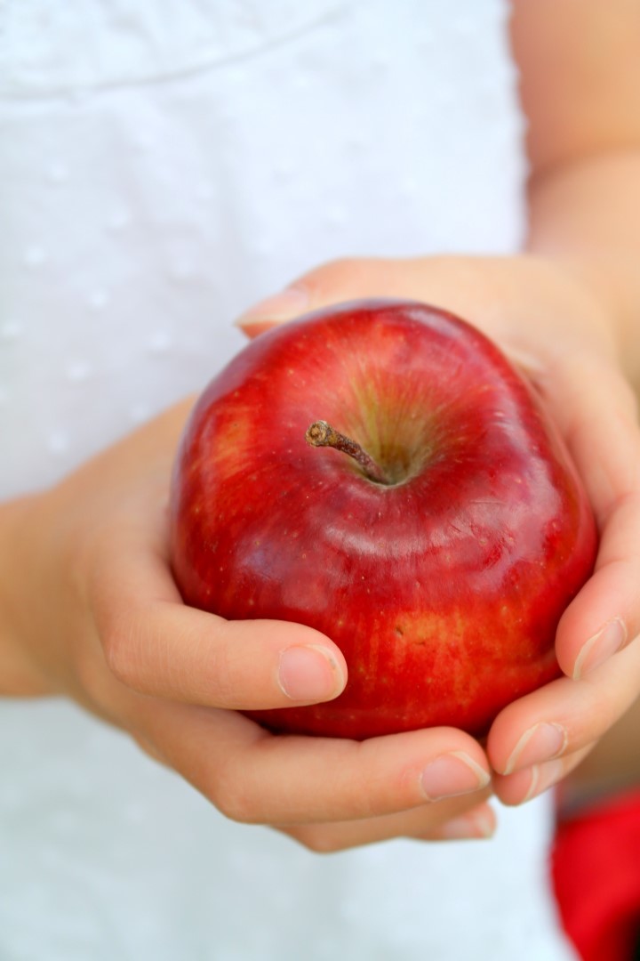 Apple Picking Fall Play Date