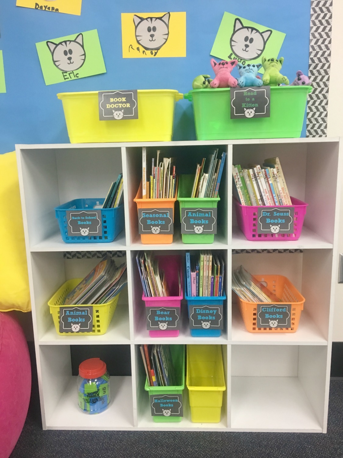 the-purrfect-classroom-library-books-setup