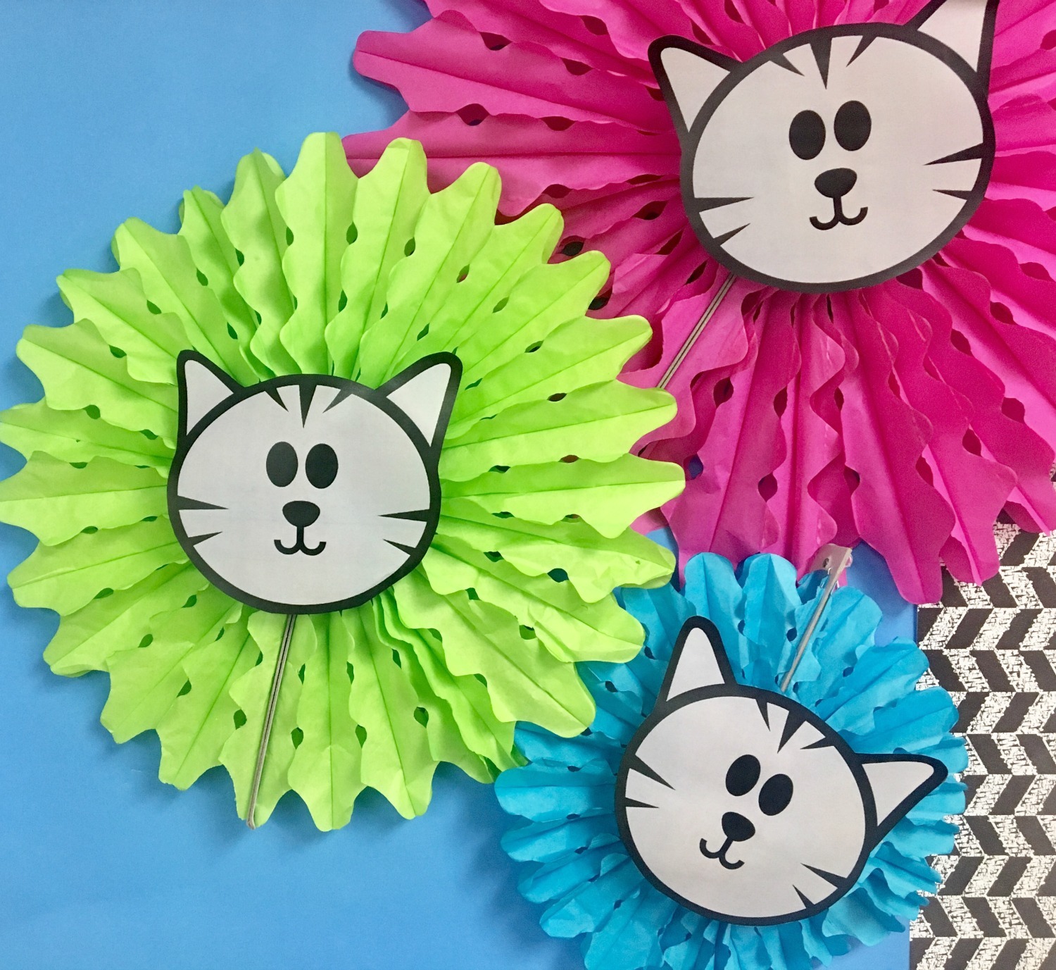 the-purrfect-classroom-library-colorful-fans