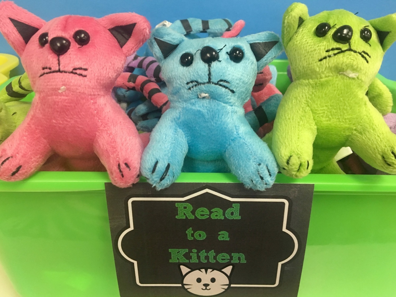 the-purrfect-classroom-library-plush-cat-assortment