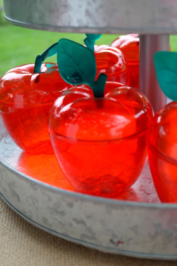 Apple Picking Fall Play Date