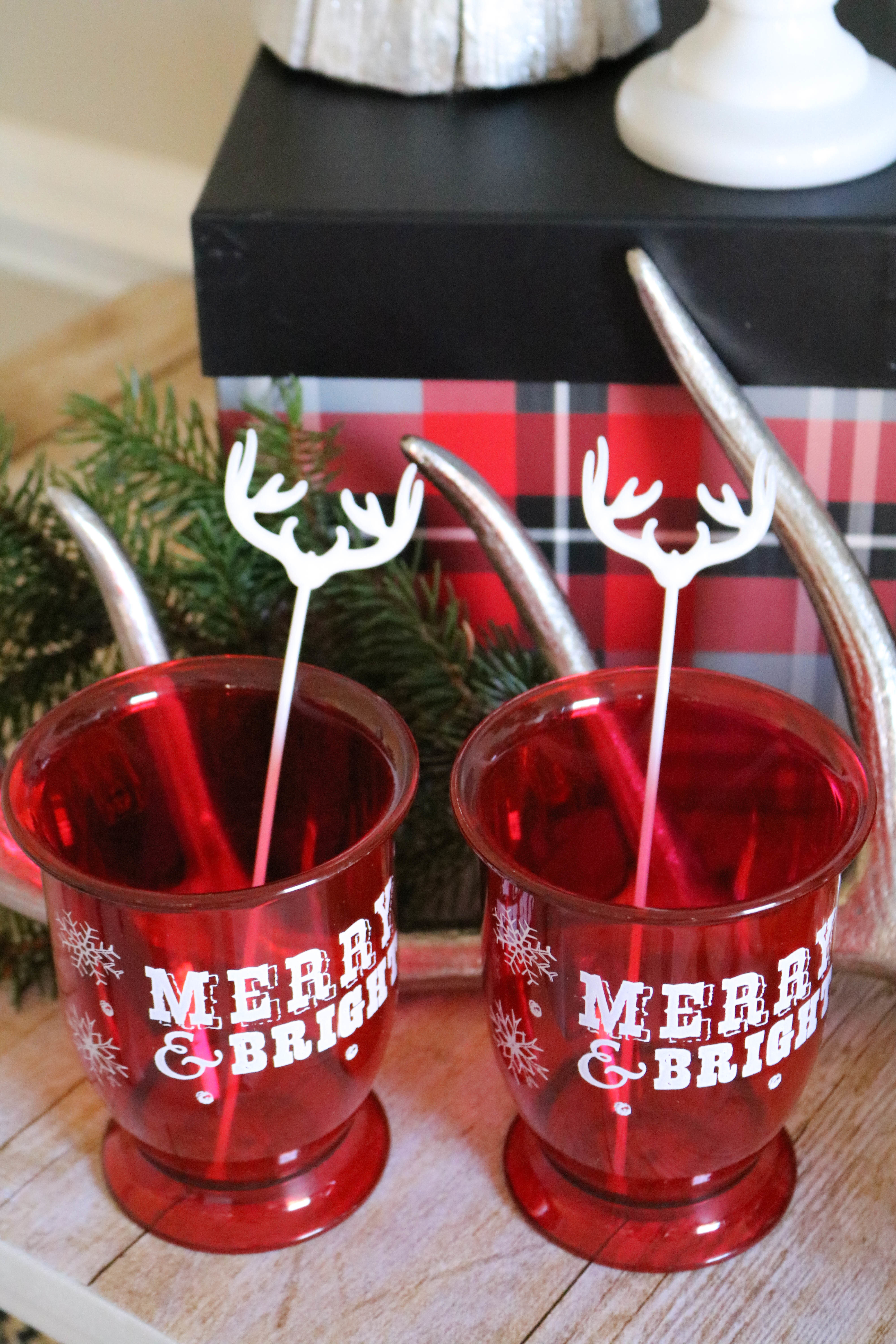 Cozy Christmas Dinner Party