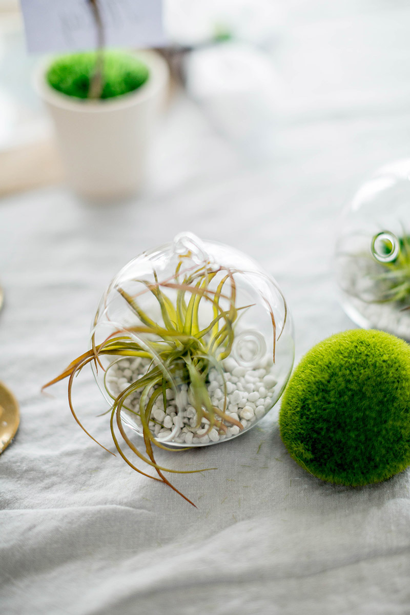 pantone-approved natural green tablescape Pantone-Approved Natural Green Tablescape