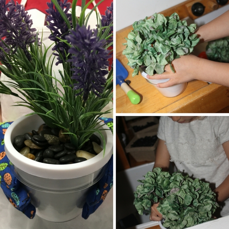 Growing a Garden