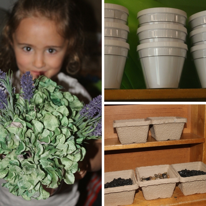 Growing a Garden