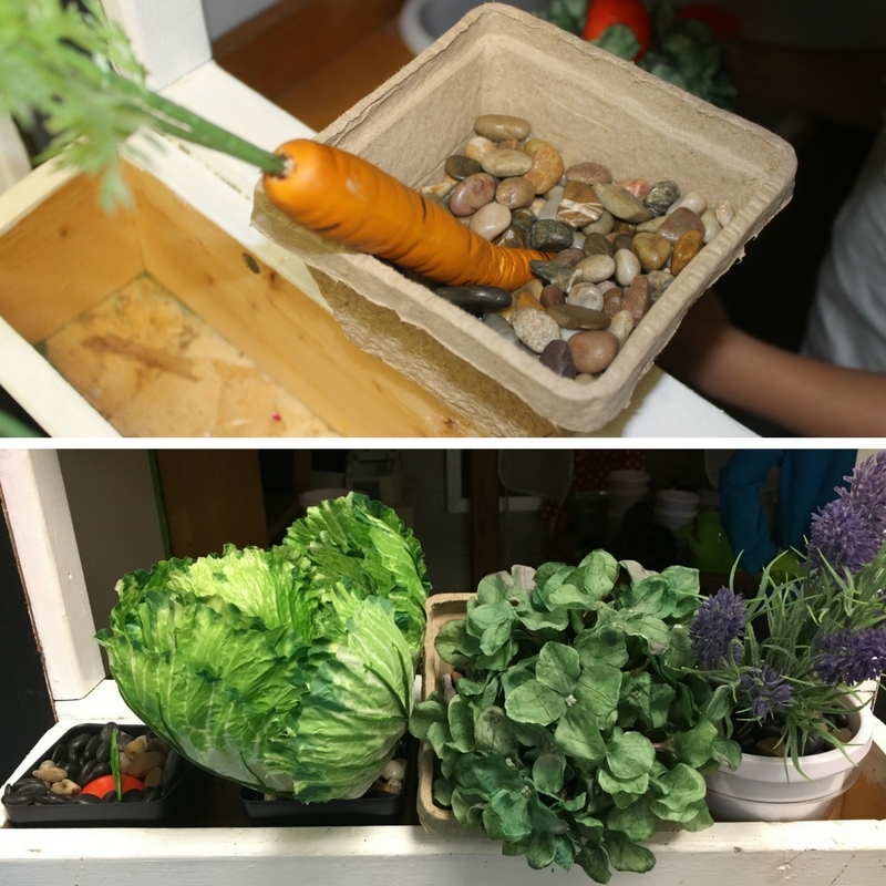 Growing a Garden