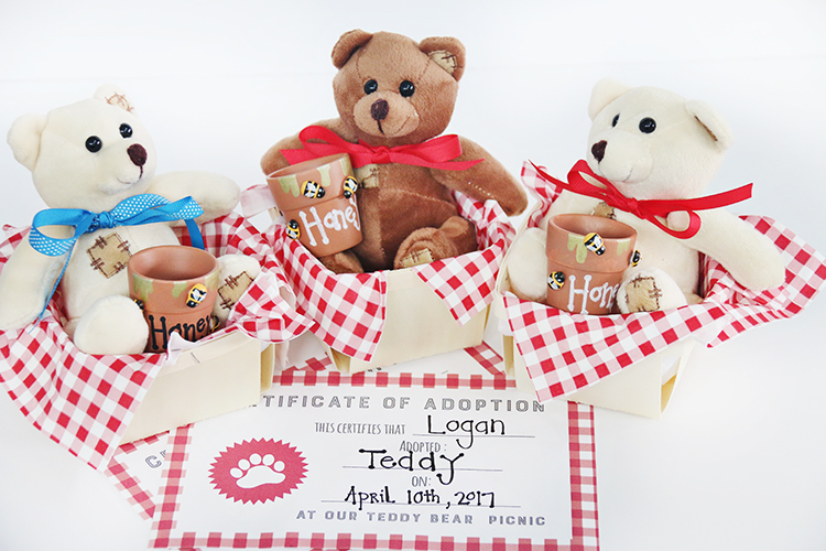 Teddy Bear Picnic Party