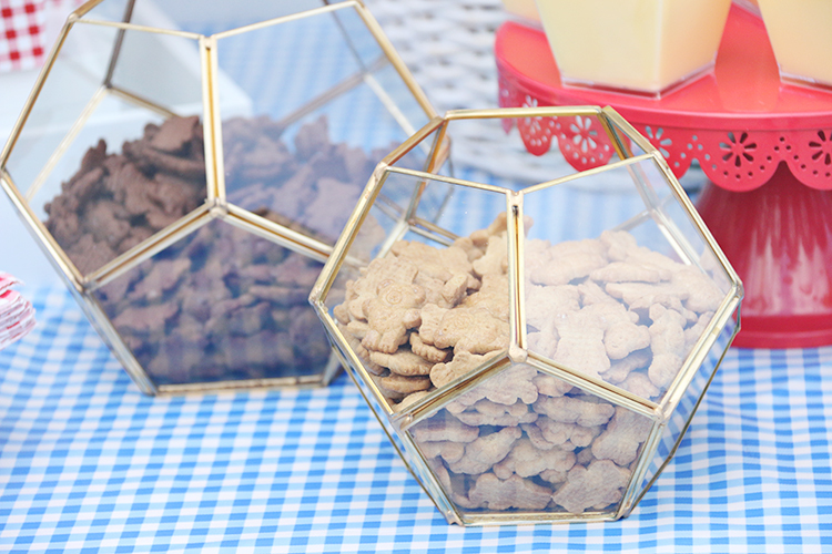 Teddy Bear Picnic Party