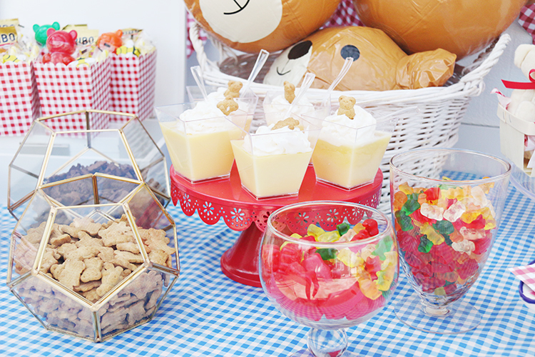 Teddy Bear Picnic Party