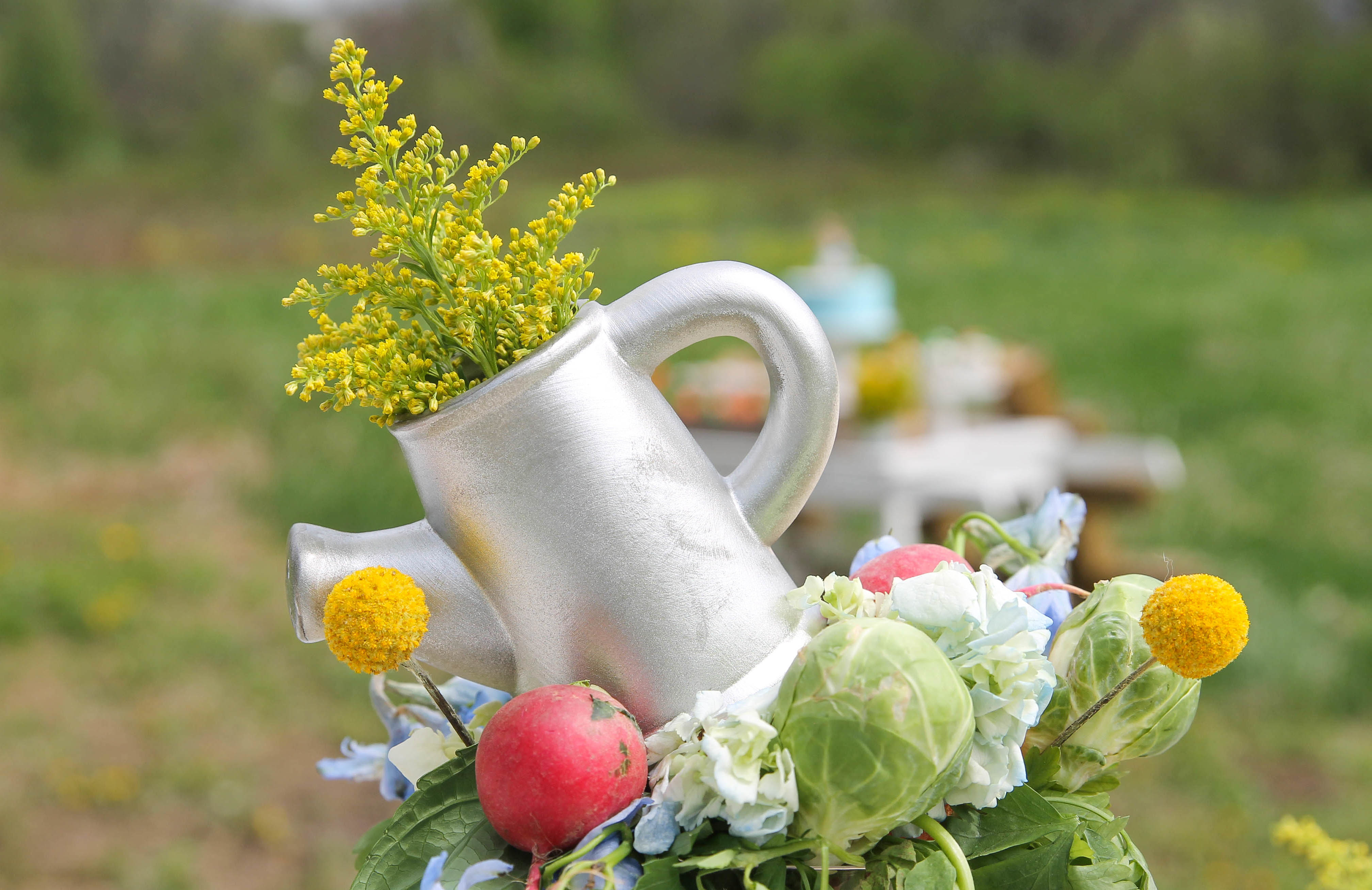 Peter Rabbit Inspired Baby Shower