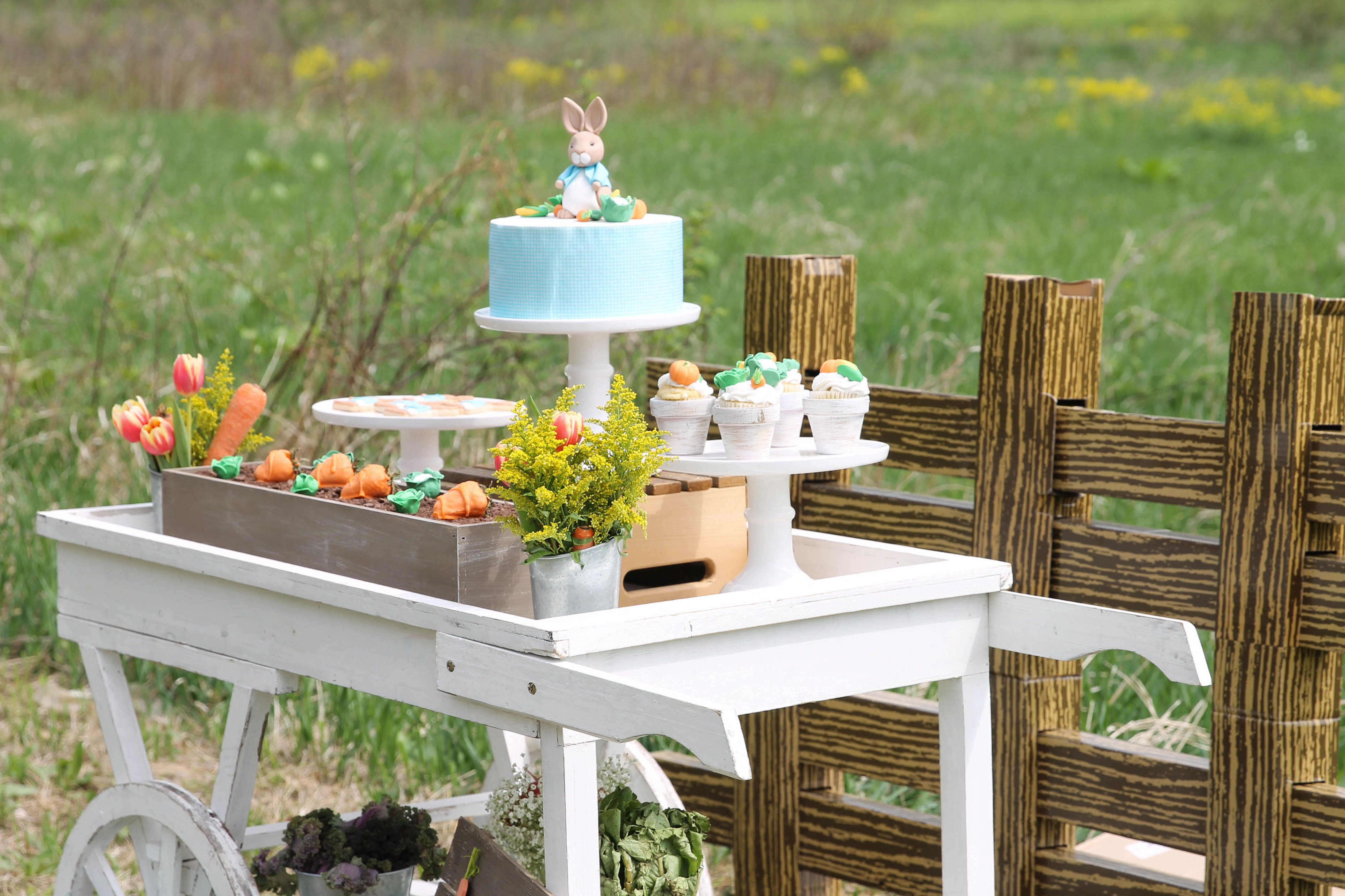 Peter Rabbit Inspired Baby Shower