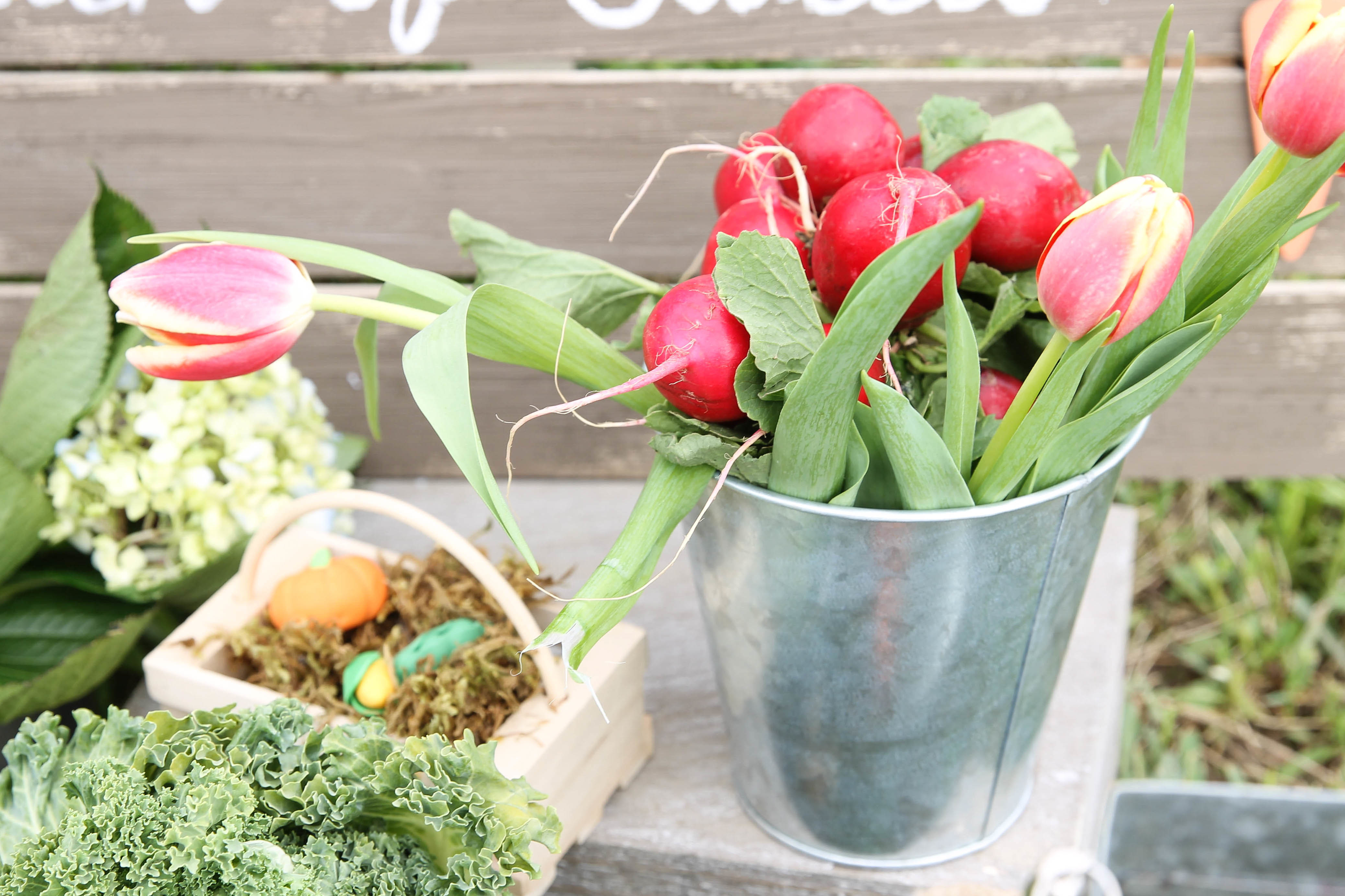 Peter Rabbit Inspired Baby Shower