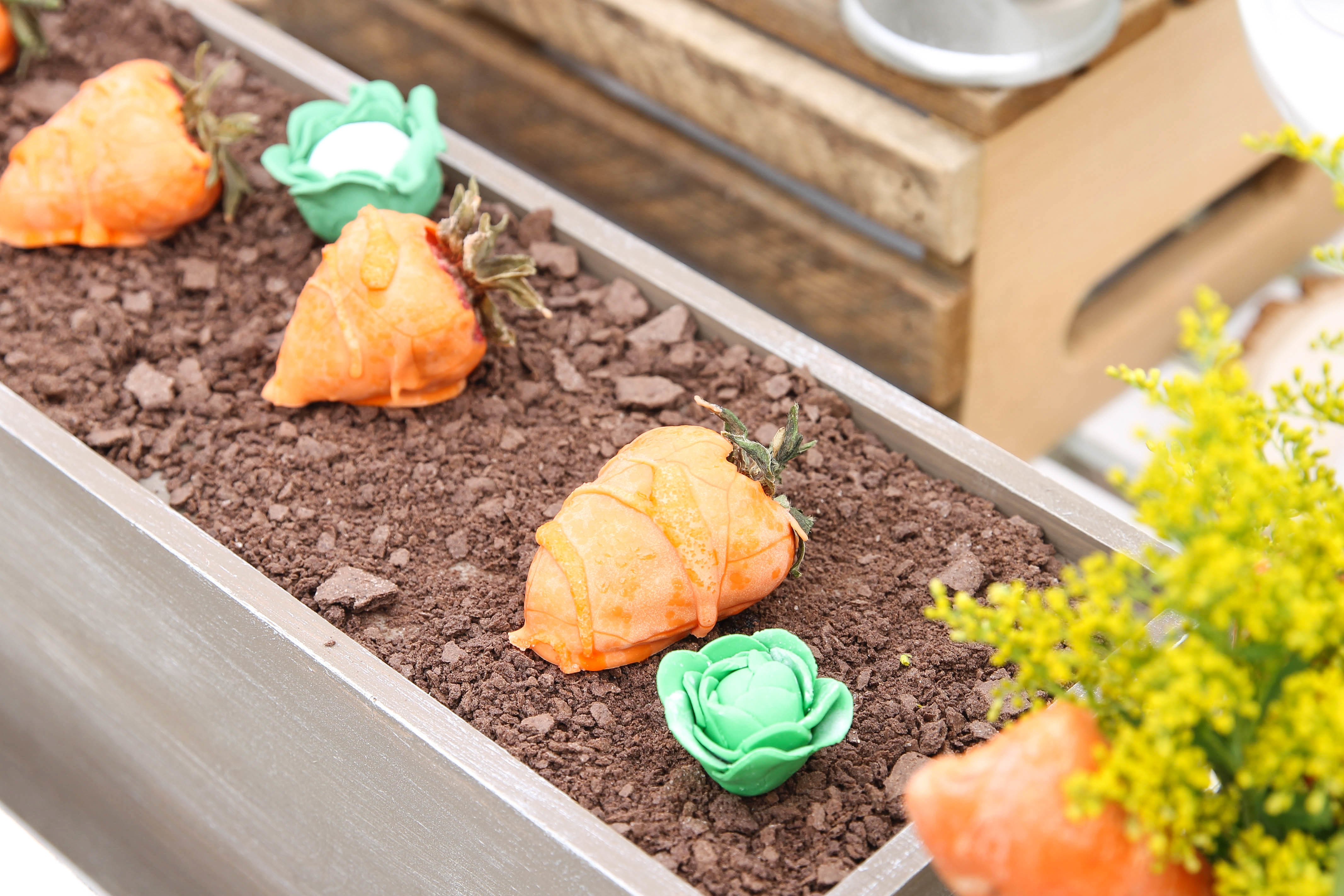 Peter Rabbit Inspired Baby Shower