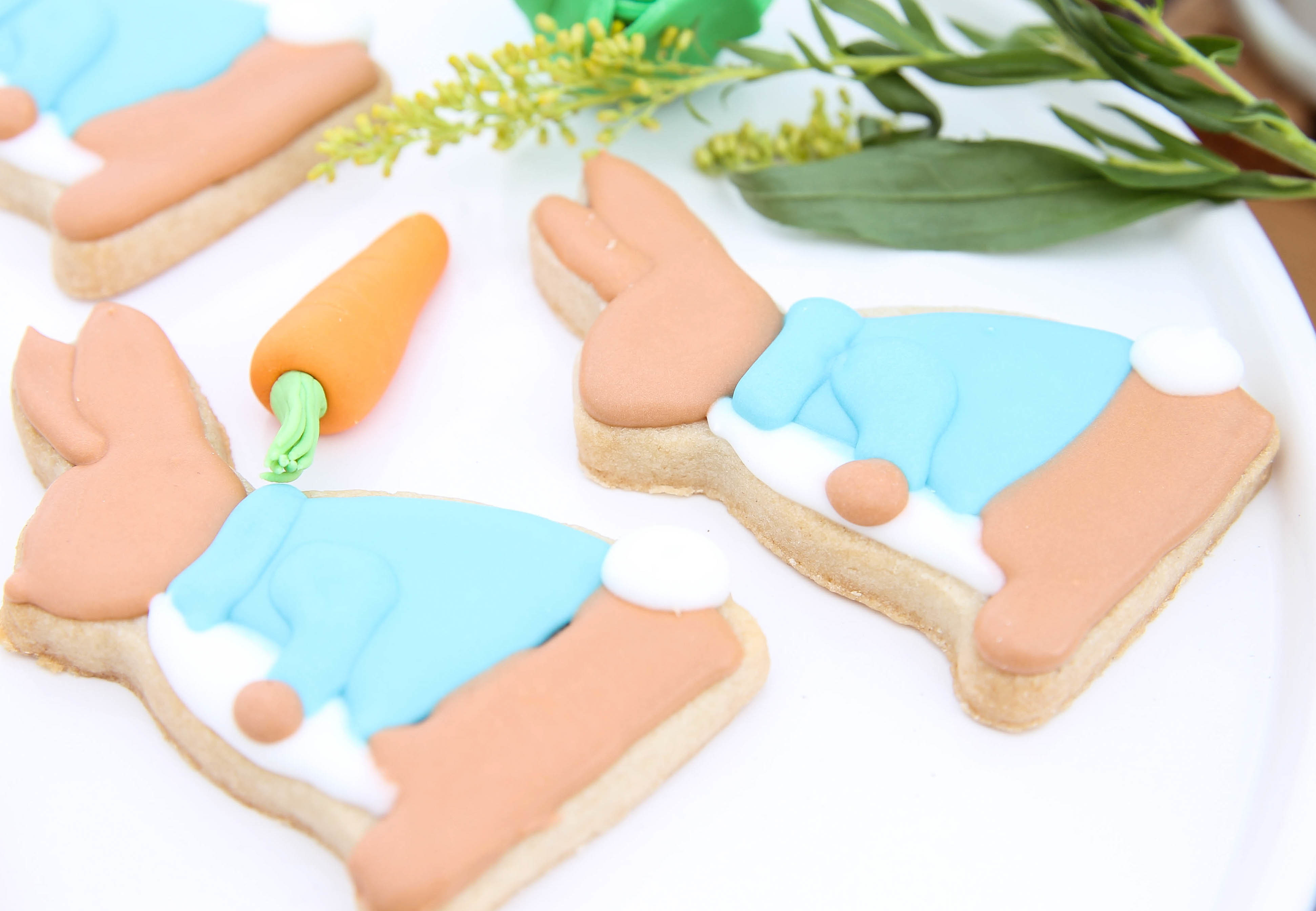 Peter Rabbit Inspired Baby Shower