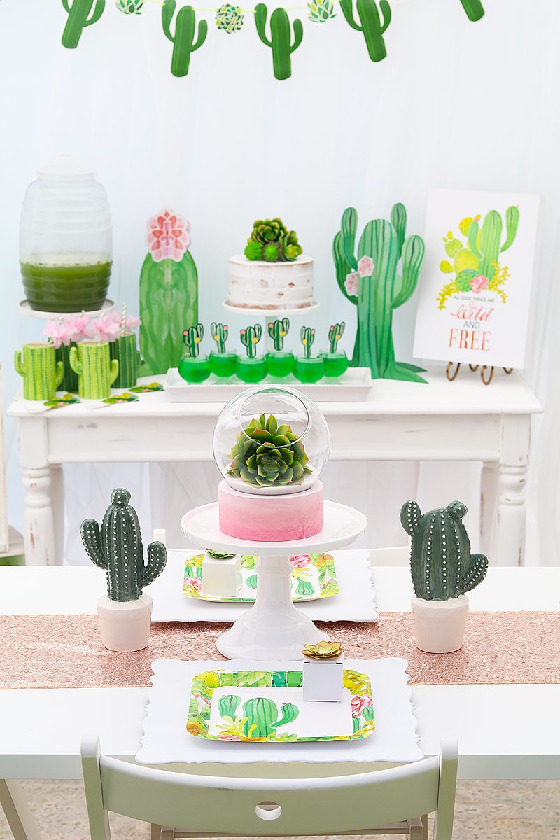 Cactus Decor Party: Your Ultimate Guide to a Fun and Stylish Celebration