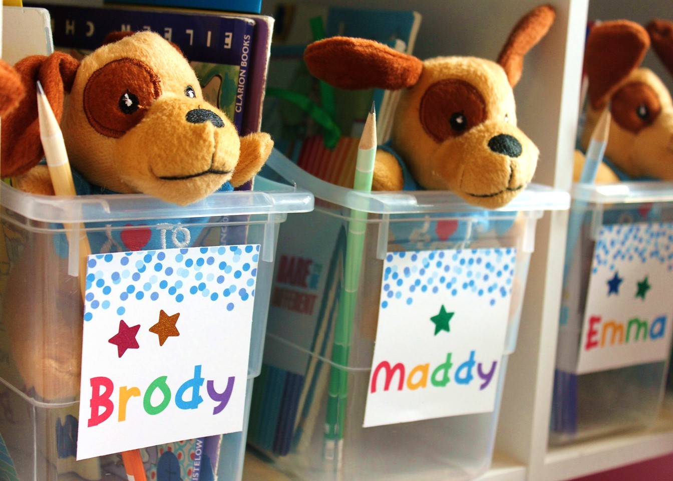 Classroom Leveled Library Student Book Bin Organization