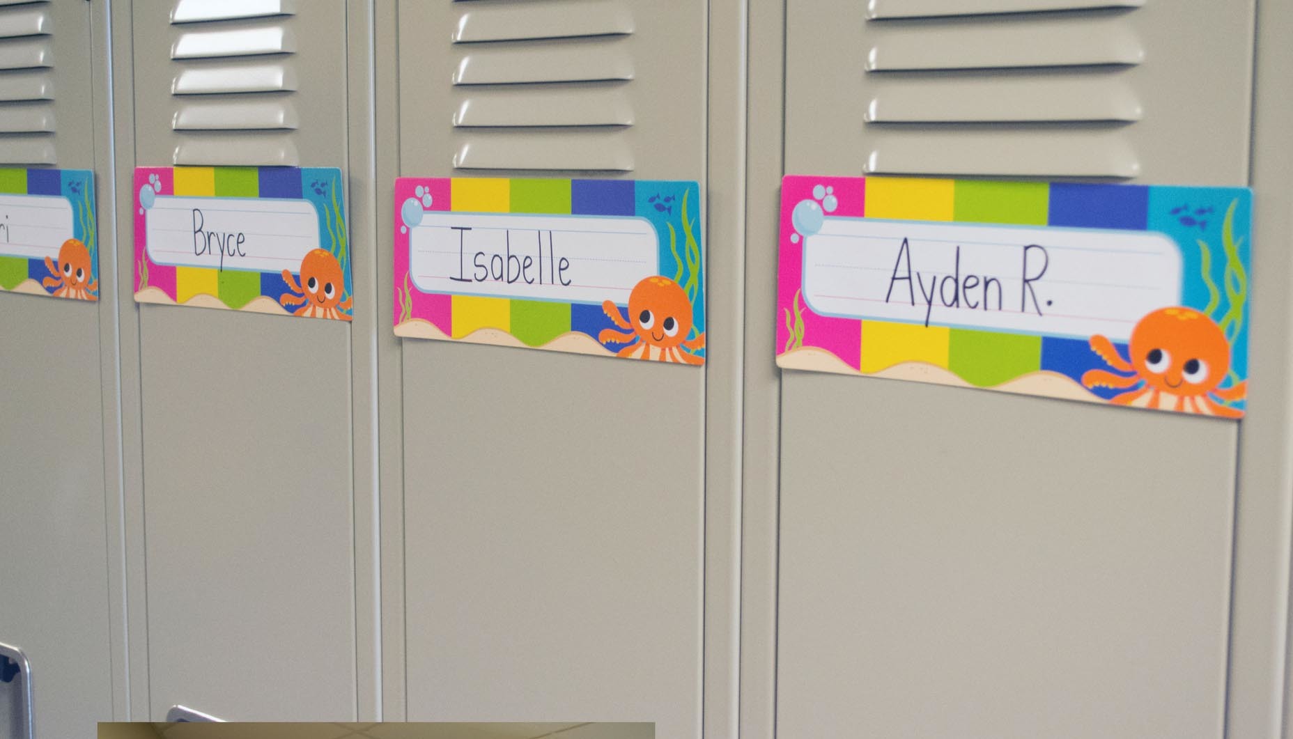 under-the-sea-back-to-school-bulletin-board