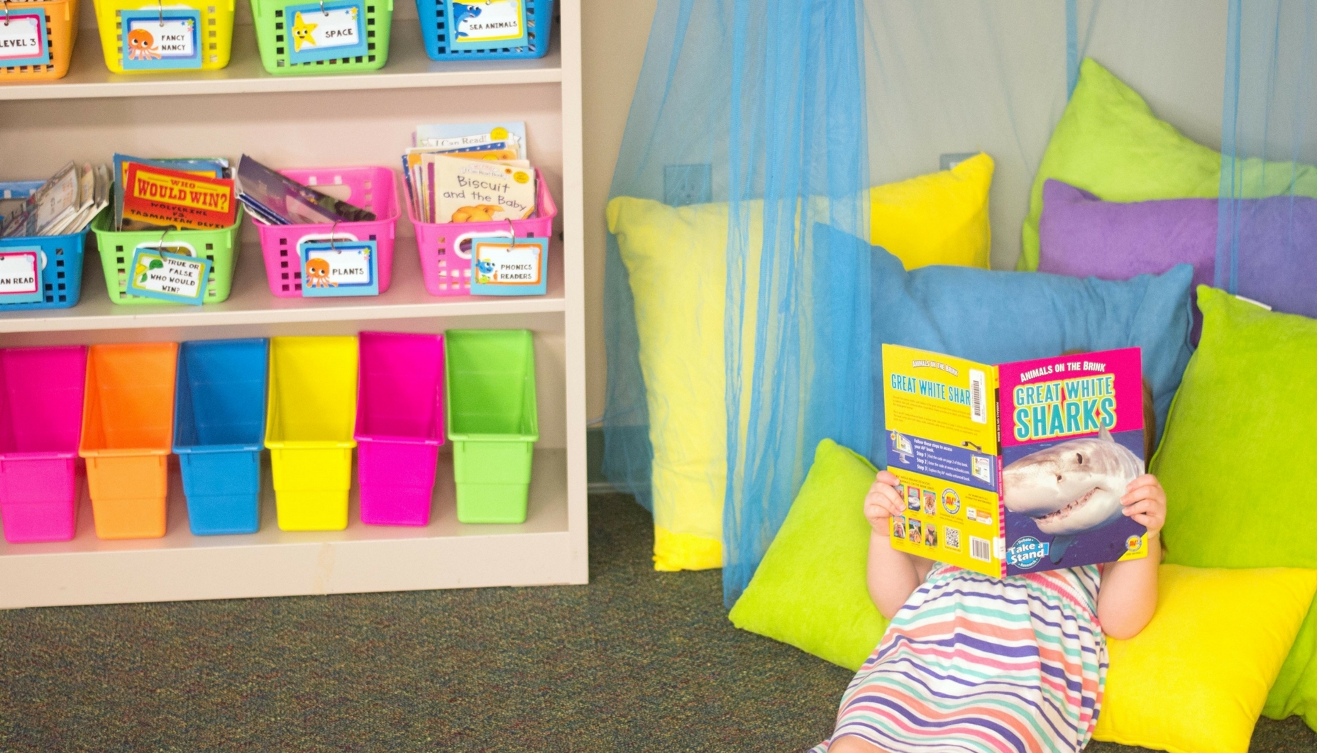 under-the-sea-classroom-library