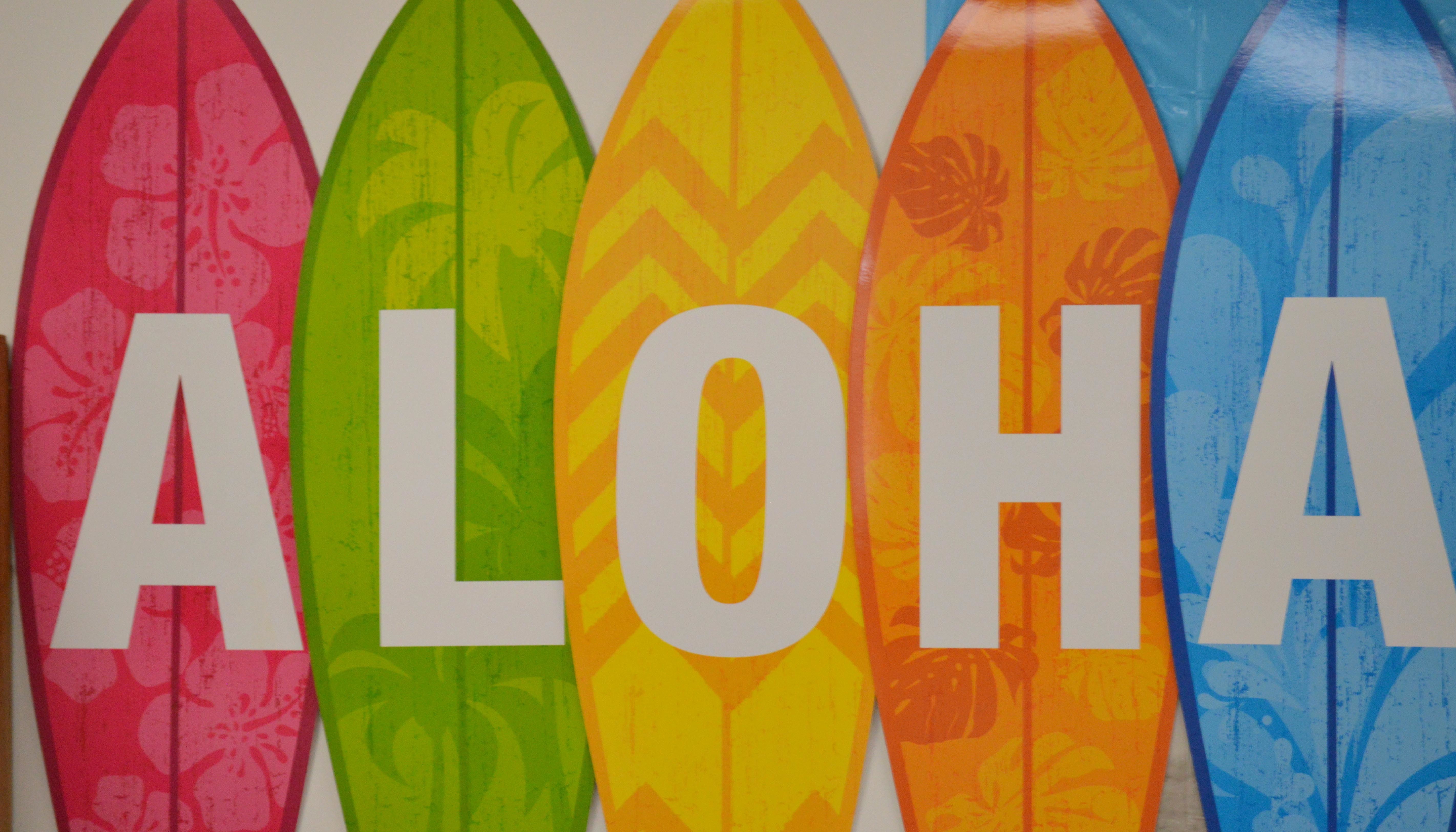 Surfboard Classroom Decorations | Shelly Lighting