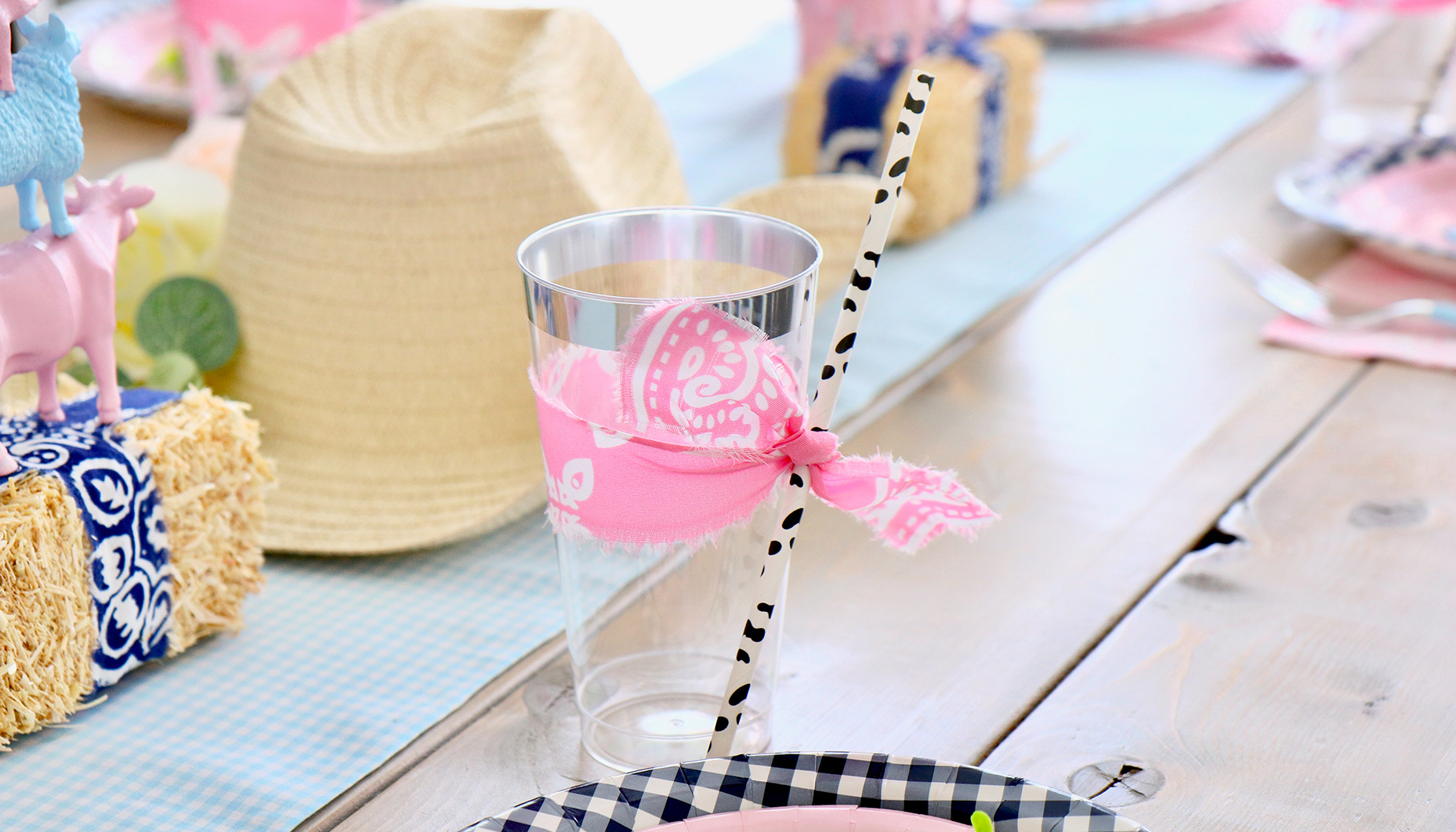 cowboy-or-cowgirl-gender-reveal-party