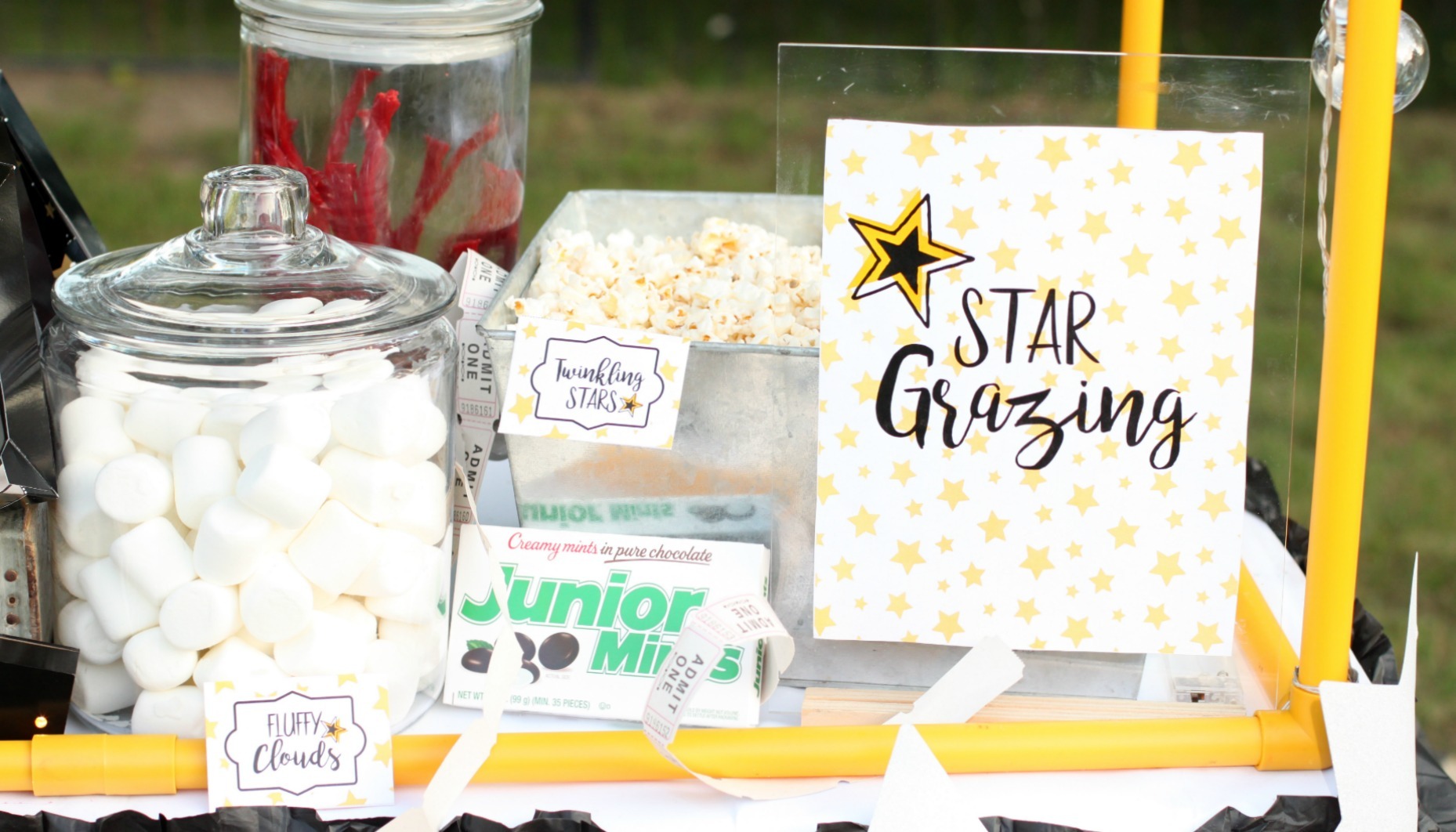 Star Grazing Concession Stand Printables