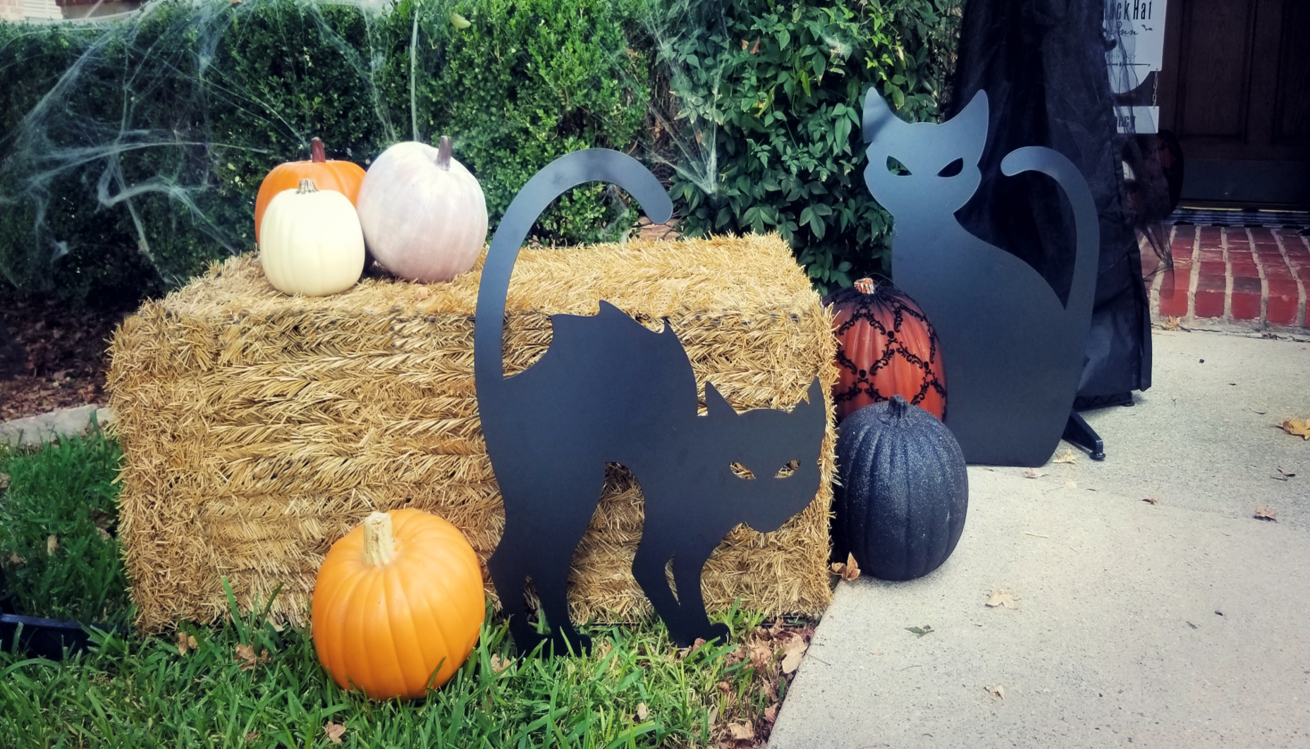 Black Cat Yard Decorations