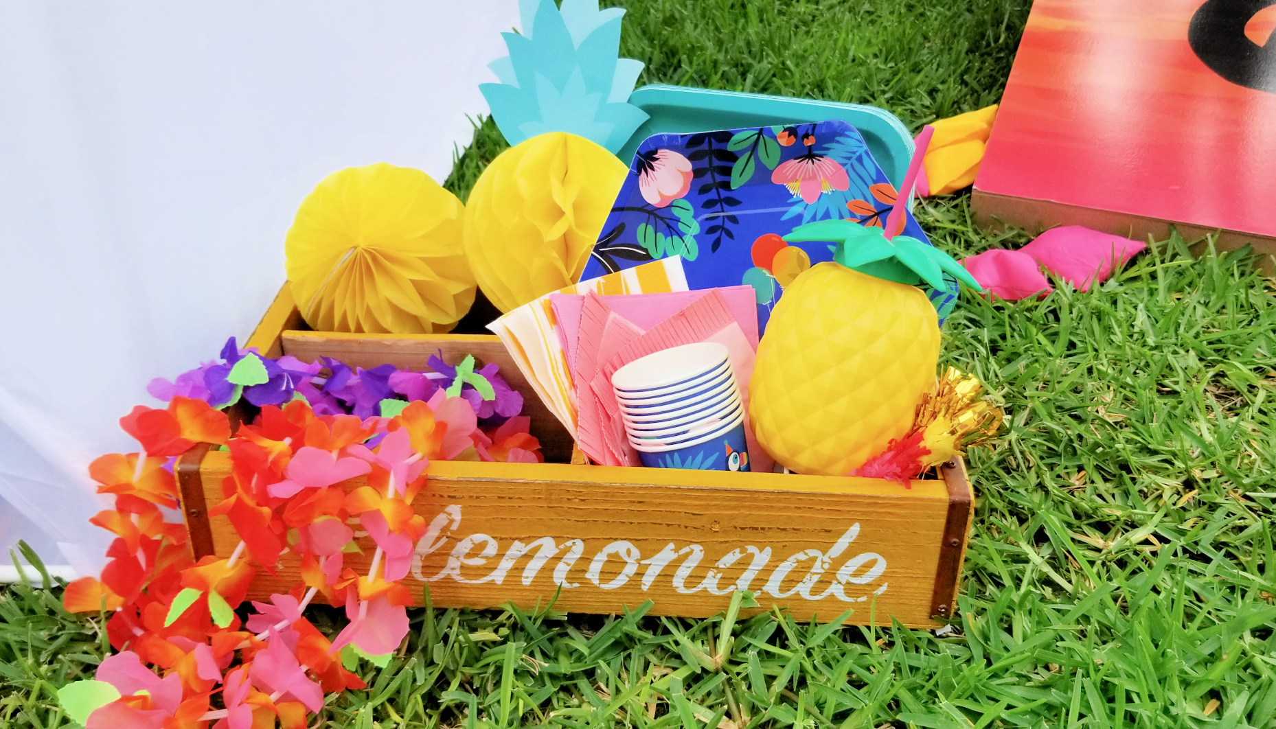 Tropical Party Plates