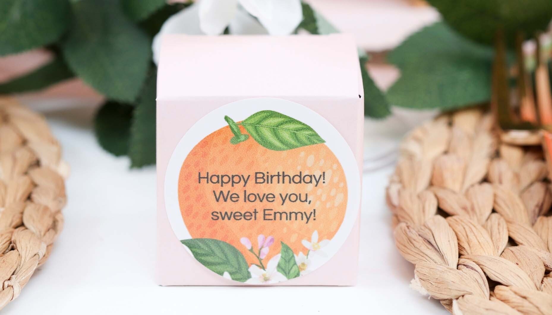 Little-Clementine-1st-Birthday-Party-Content-18