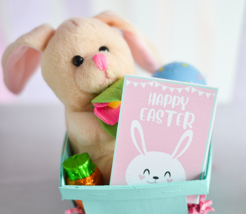Easter Egg Dying Party Bunny Basket Favor