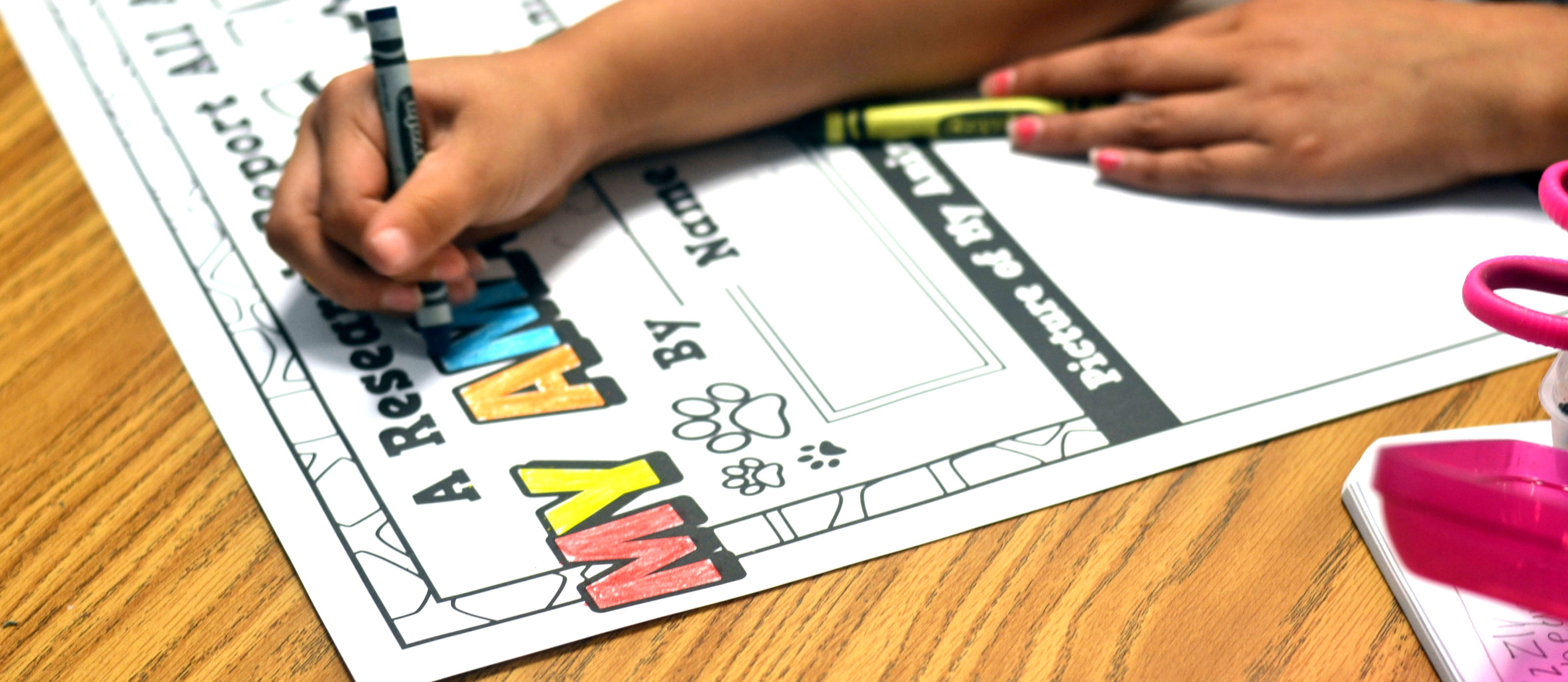 Color Your Own Animal Posters with Journals