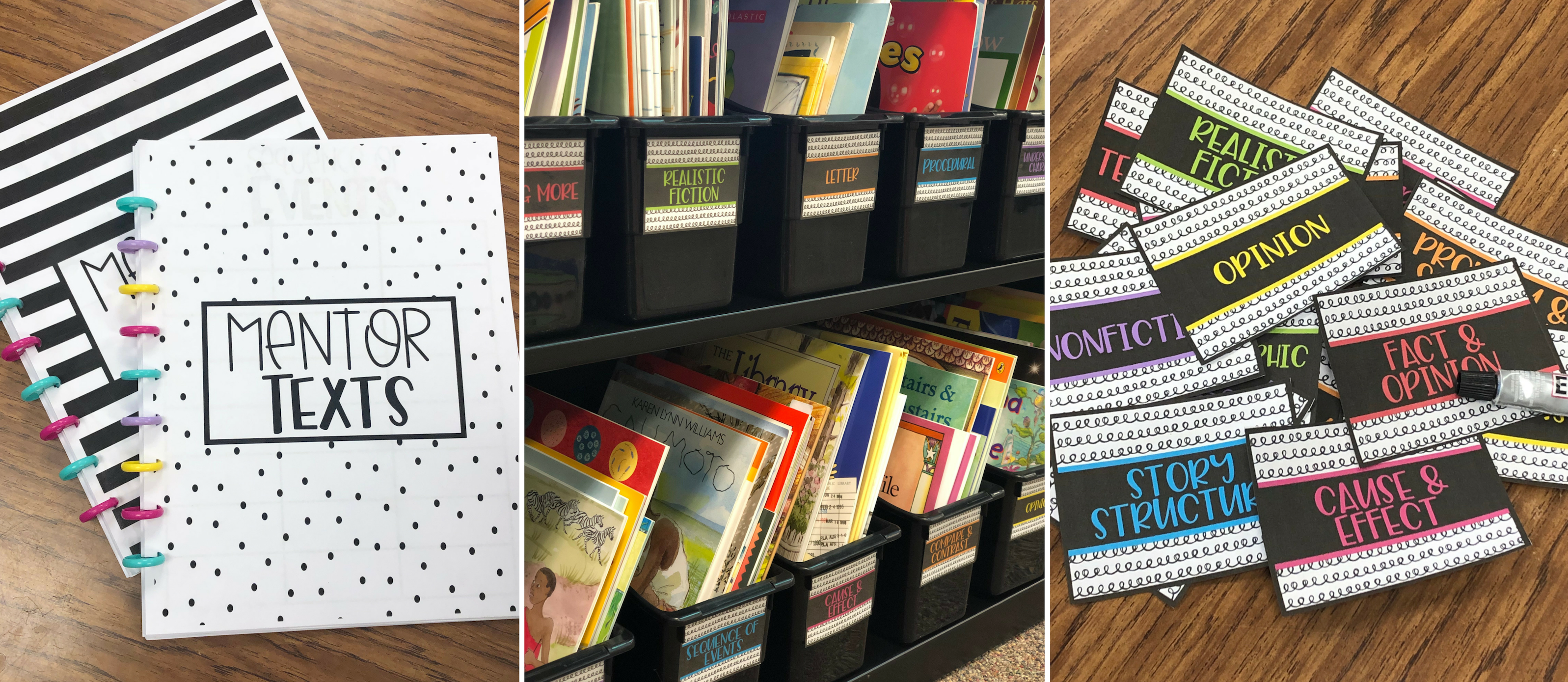 Organizing Mentor Texts