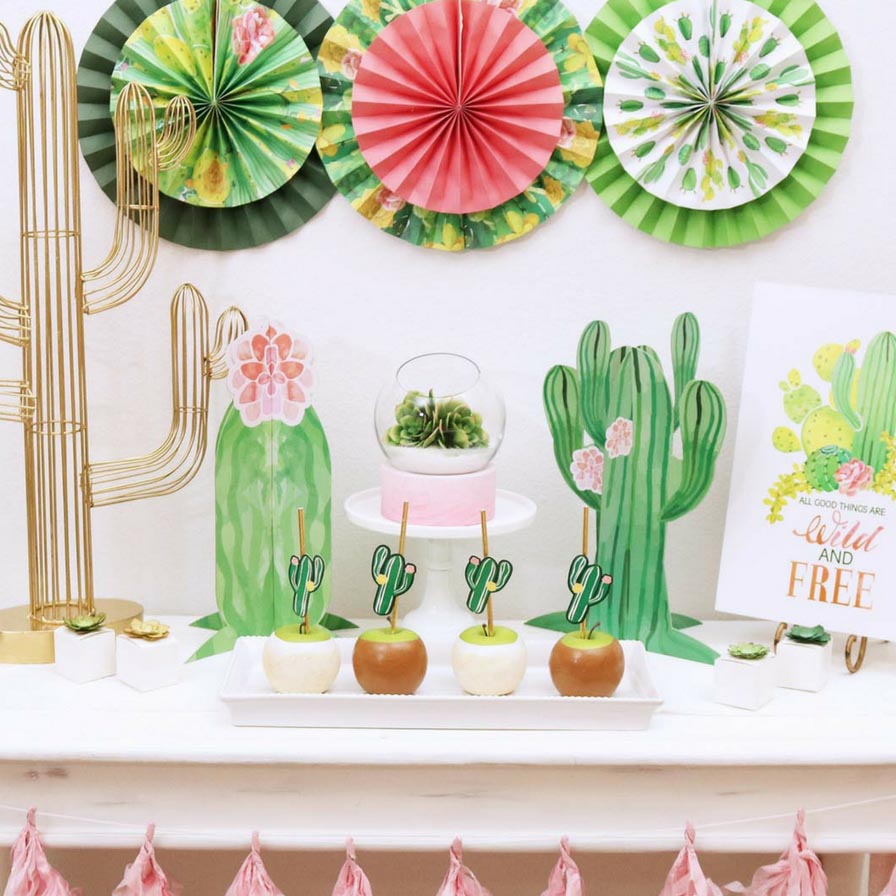 1 Party 3 Ways: Cactus Party