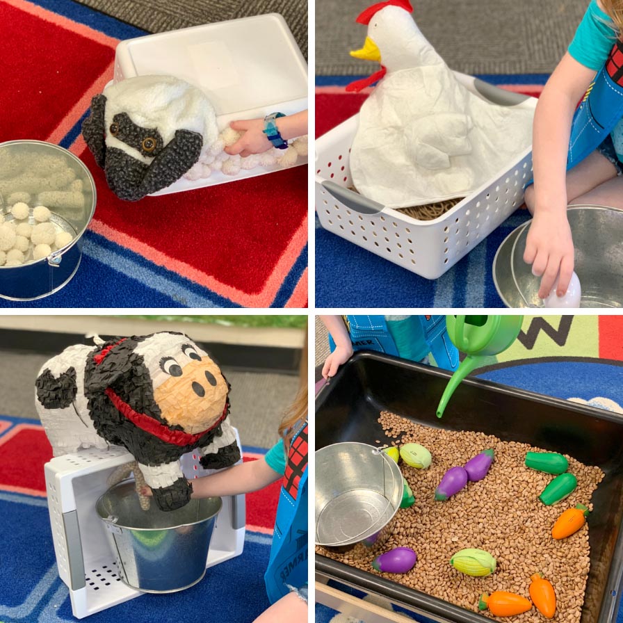 Farm Themed Dramatic Play Center