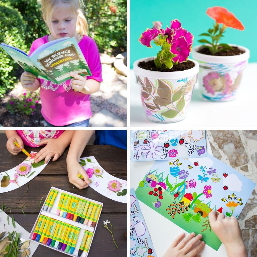 Shop It: Camp Fun Nature Explorers
