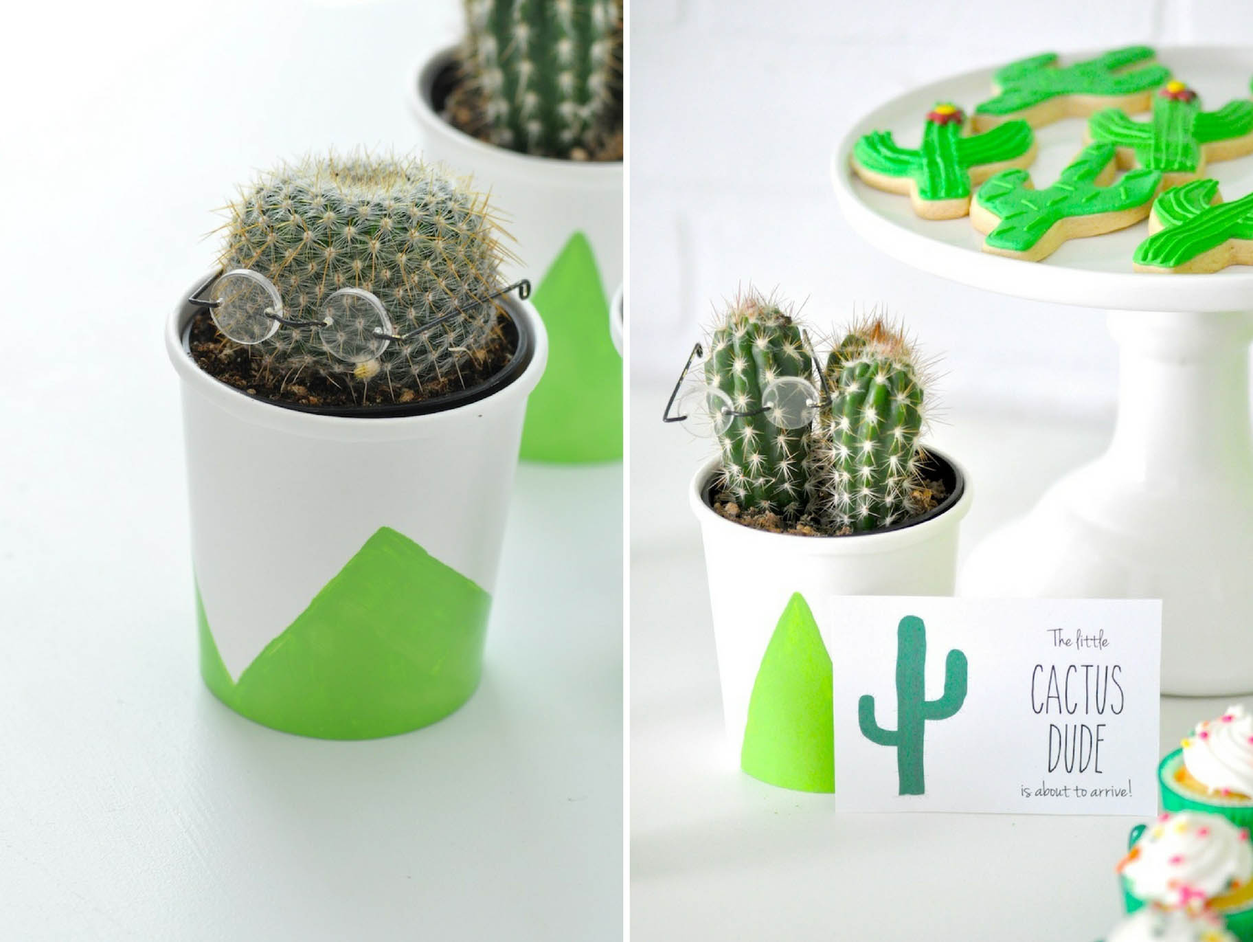 DIY Little Cactus Dude Party Plants