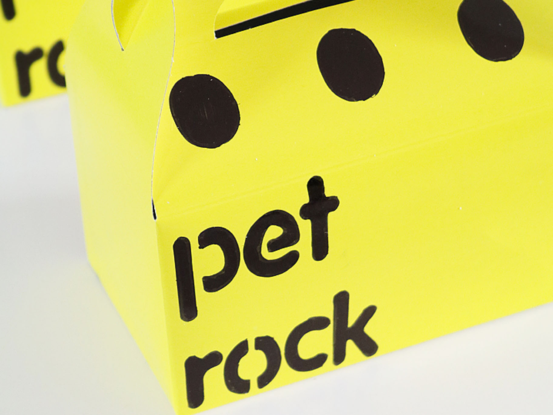 DIY Pet Rock Party Favor Boxes