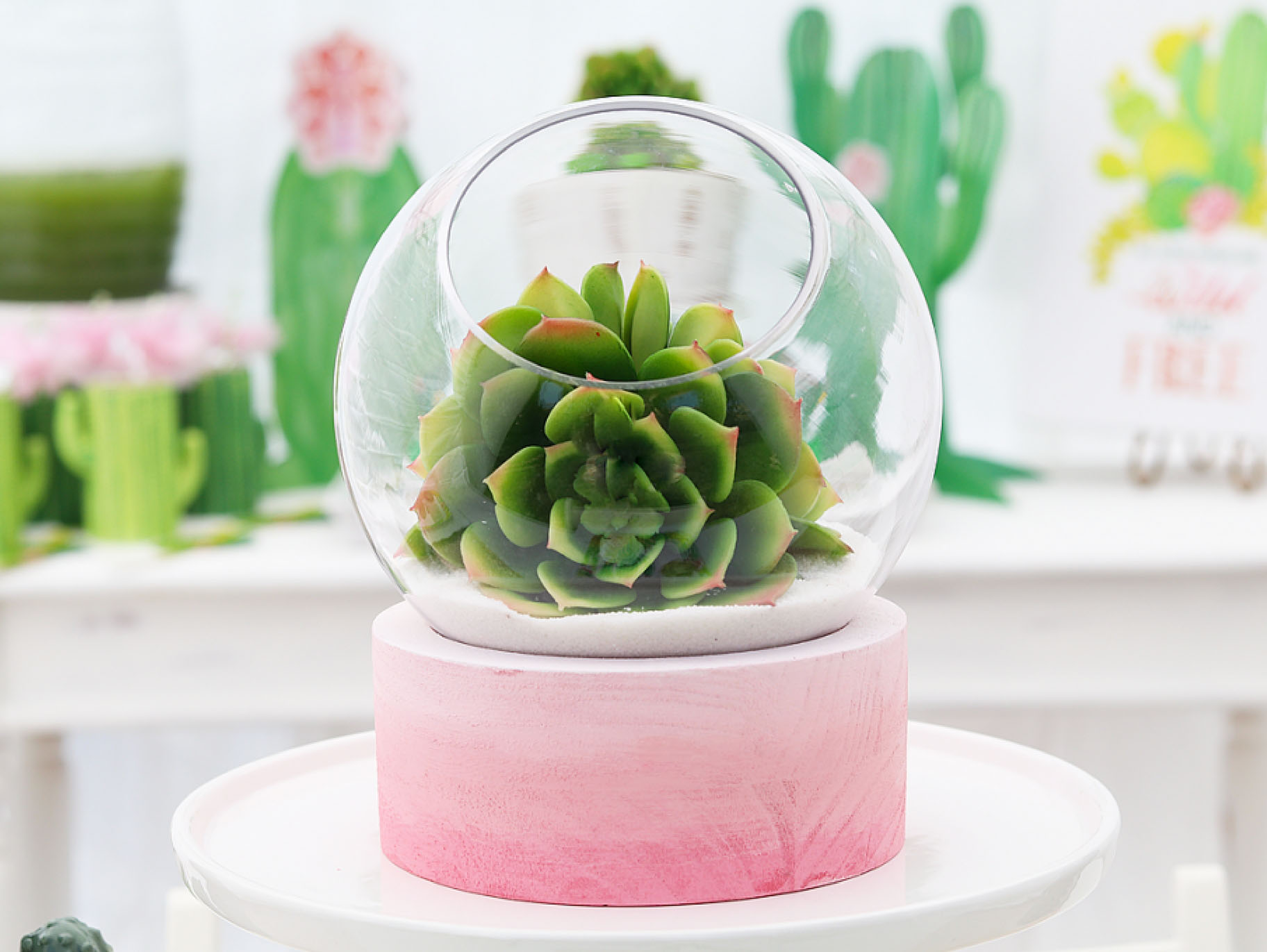 Painted Ombre Terrarium