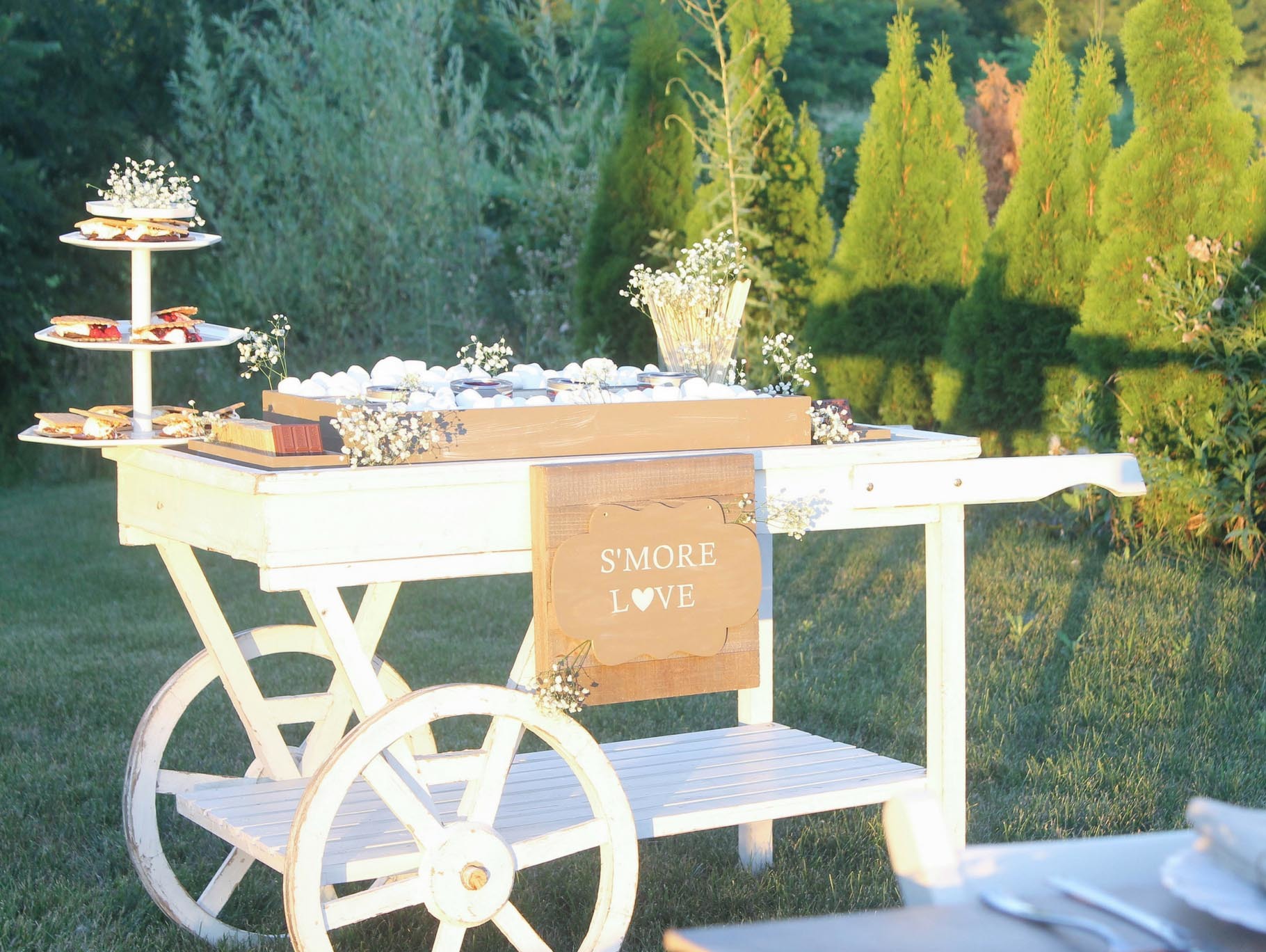 DIY Wedding S'mores Station